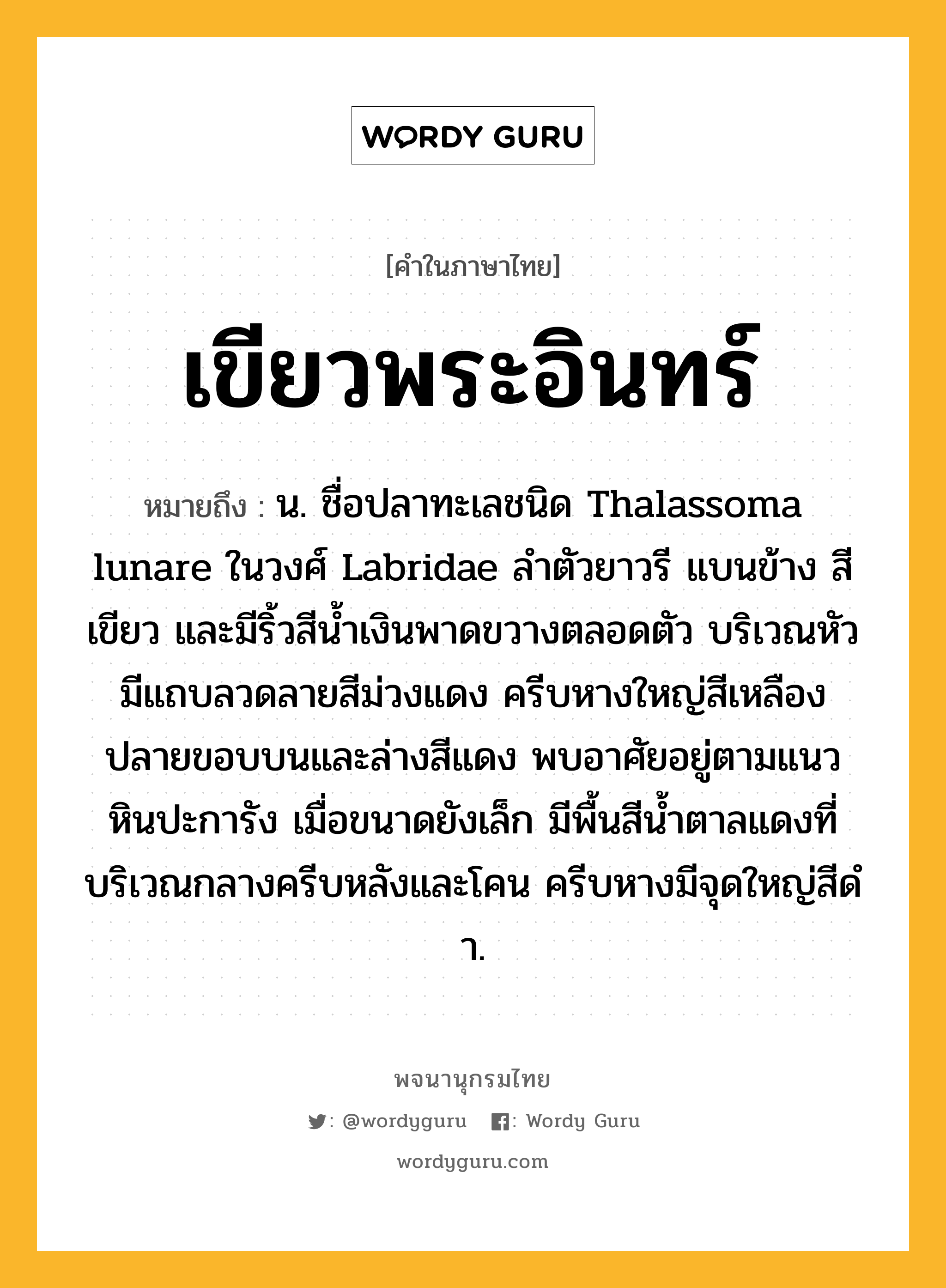 เขียวพระอินทร์ หมายถึงอะไร?, คำในภาษาไทย เขียวพระอินทร์ หมายถึง น. ชื่อปลาทะเลชนิด Thalassoma lunare ในวงศ์ Labridae ลําตัวยาวรี แบนข้าง สีเขียว และมีริ้วสีนํ้าเงินพาดขวางตลอดตัว บริเวณหัวมีแถบลวดลายสีม่วงแดง ครีบหางใหญ่สีเหลือง ปลายขอบบนและล่างสีแดง พบอาศัยอยู่ตามแนวหินปะการัง เมื่อขนาดยังเล็ก มีพื้นสีนํ้าตาลแดงที่บริเวณกลางครีบหลังและโคน ครีบหางมีจุดใหญ่สีดํา.