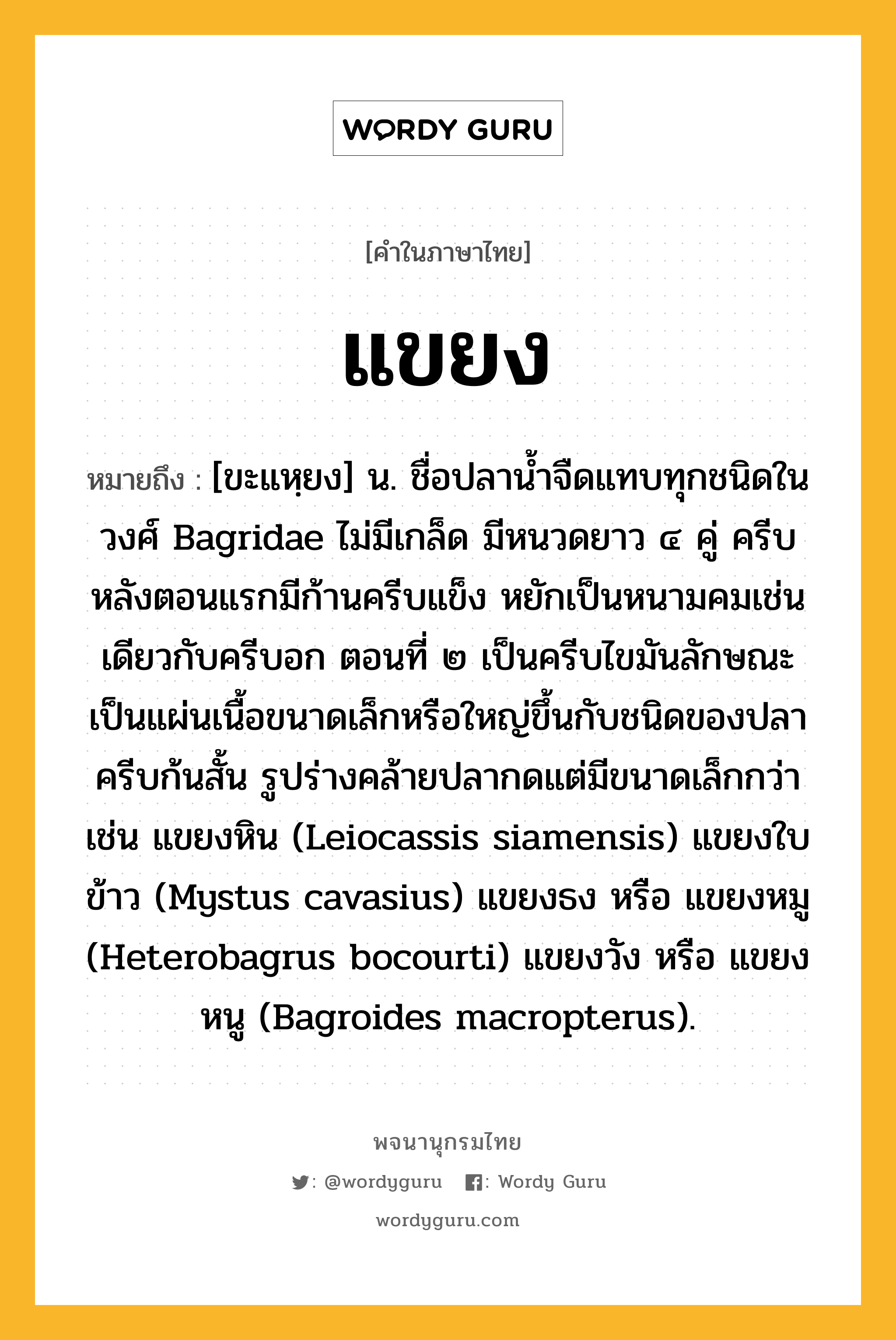 แขยง ความหมาย หมายถึงอะไร?, คำในภาษาไทย แขยง หมายถึง [ขะแหฺยง] น. ชื่อปลานํ้าจืดแทบทุกชนิดในวงศ์ Bagridae ไม่มีเกล็ด มีหนวดยาว ๔ คู่ ครีบหลังตอนแรกมีก้านครีบแข็ง หยักเป็นหนามคมเช่นเดียวกับครีบอก ตอนที่ ๒ เป็นครีบไขมันลักษณะเป็นแผ่นเนื้อขนาดเล็กหรือใหญ่ขึ้นกับชนิดของปลา ครีบก้นสั้น รูปร่างคล้ายปลากดแต่มีขนาดเล็กกว่า เช่น แขยงหิน (Leiocassis siamensis) แขยงใบข้าว (Mystus cavasius) แขยงธง หรือ แขยงหมู (Heterobagrus bocourti) แขยงวัง หรือ แขยงหนู (Bagroides macropterus).