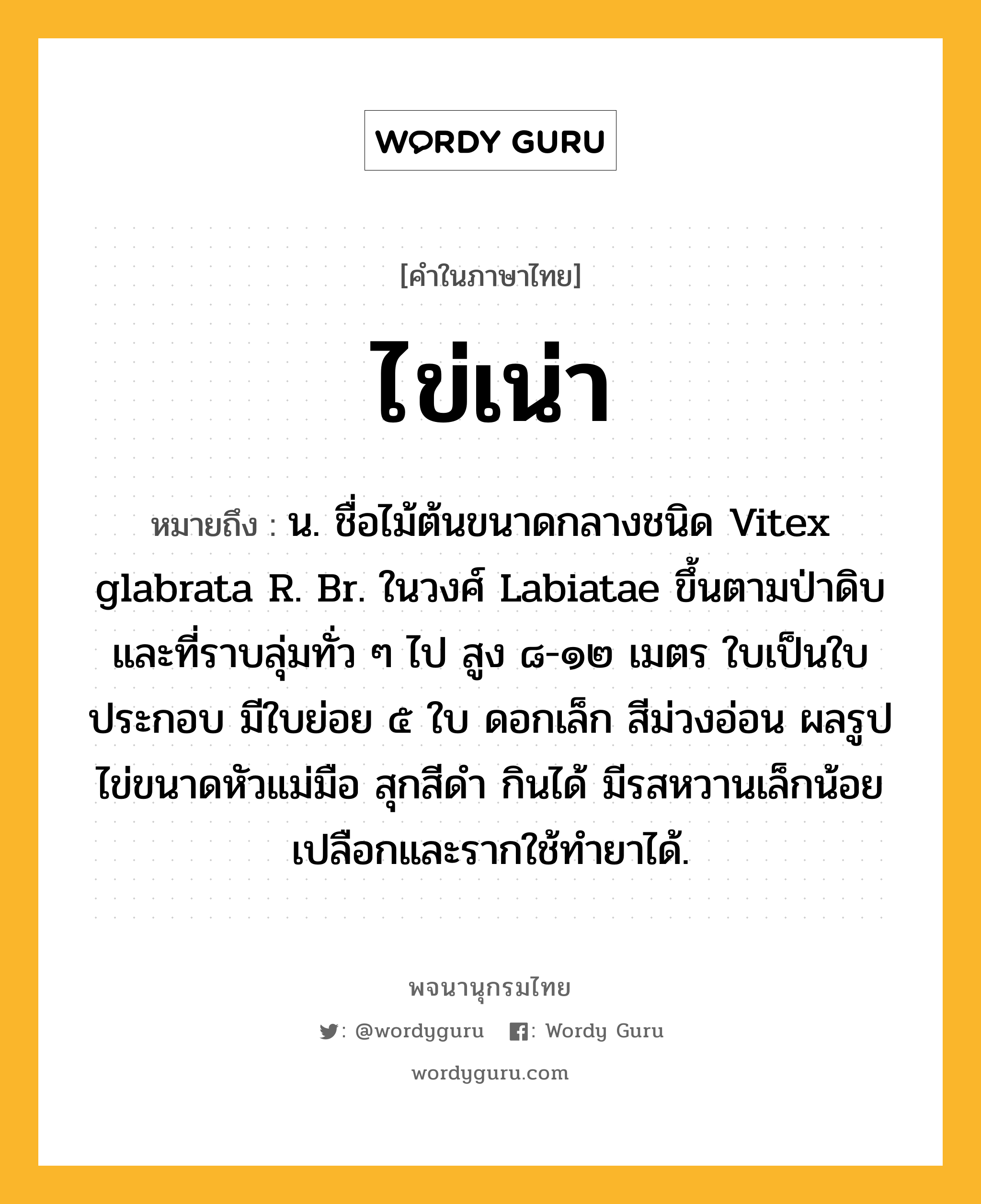 ไข่เน่า หมายถึงอะไร?, คำในภาษาไทย ไข่เน่า หมายถึง น. ชื่อไม้ต้นขนาดกลางชนิด Vitex glabrata R. Br. ในวงศ์ Labiatae ขึ้นตามป่าดิบและที่ราบลุ่มทั่ว ๆ ไป สูง ๘-๑๒ เมตร ใบเป็นใบประกอบ มีใบย่อย ๕ ใบ ดอกเล็ก สีม่วงอ่อน ผลรูปไข่ขนาดหัวแม่มือ สุกสีดํา กินได้ มีรสหวานเล็กน้อย เปลือกและรากใช้ทํายาได้.