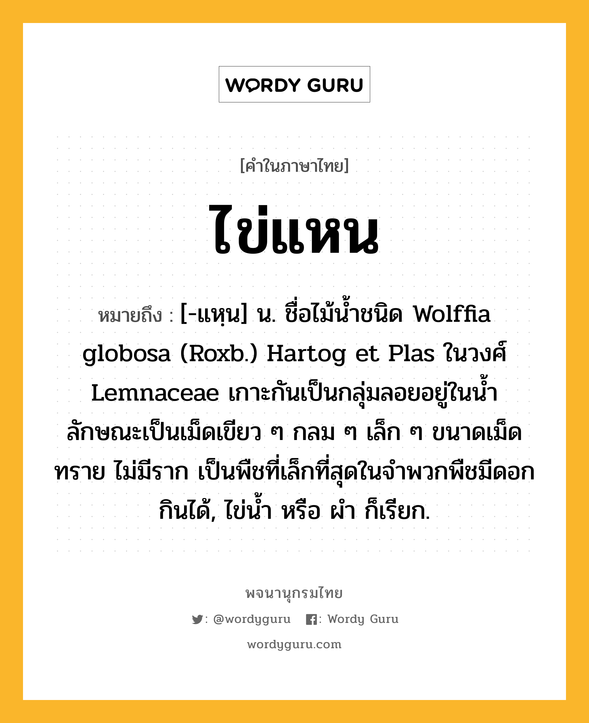 ไข่แหน หมายถึงอะไร?, คำในภาษาไทย ไข่แหน หมายถึง [-แหฺน] น. ชื่อไม้นํ้าชนิด Wolffia globosa (Roxb.) Hartog et Plas ในวงศ์ Lemnaceae เกาะกันเป็นกลุ่มลอยอยู่ในนํ้า ลักษณะเป็นเม็ดเขียว ๆ กลม ๆ เล็ก ๆ ขนาดเม็ดทราย ไม่มีราก เป็นพืชที่เล็กที่สุดในจําพวกพืชมีดอก กินได้, ไข่นํ้า หรือ ผํา ก็เรียก.