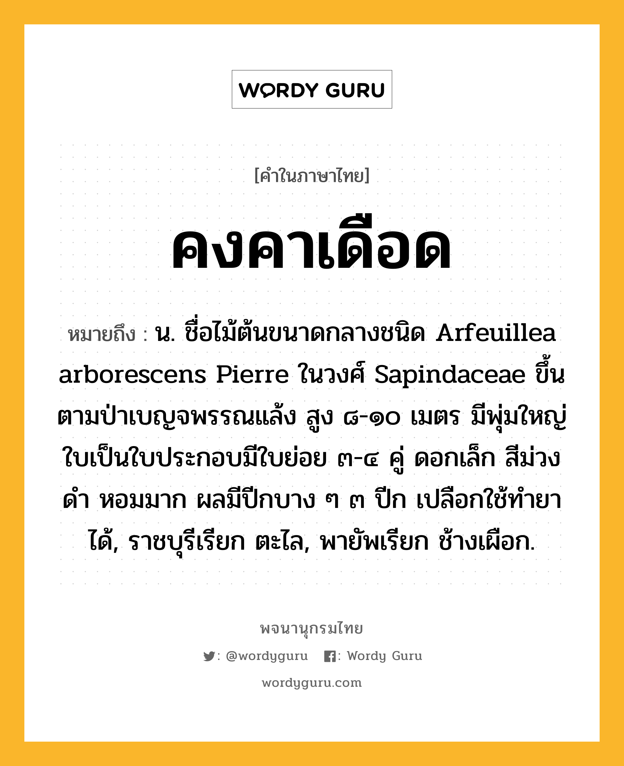 คงคาเดือด หมายถึงอะไร?, คำในภาษาไทย คงคาเดือด หมายถึง น. ชื่อไม้ต้นขนาดกลางชนิด Arfeuillea arborescens Pierre ในวงศ์ Sapindaceae ขึ้นตามป่าเบญจพรรณแล้ง สูง ๘-๑๐ เมตร มีพุ่มใหญ่ ใบเป็นใบประกอบมีใบย่อย ๓-๔ คู่ ดอกเล็ก สีม่วงดํา หอมมาก ผลมีปีกบาง ๆ ๓ ปีก เปลือกใช้ทํายาได้, ราชบุรีเรียก ตะไล, พายัพเรียก ช้างเผือก.