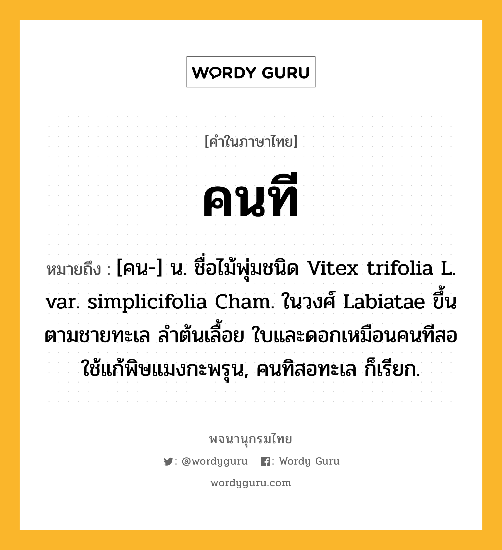 คนที หมายถึงอะไร?, คำในภาษาไทย คนที หมายถึง [คน-] น. ชื่อไม้พุ่มชนิด Vitex trifolia L. var. simplicifolia Cham. ในวงศ์ Labiatae ขึ้นตามชายทะเล ลําต้นเลื้อย ใบและดอกเหมือนคนทีสอ ใช้แก้พิษแมงกะพรุน, คนทิสอทะเล ก็เรียก.