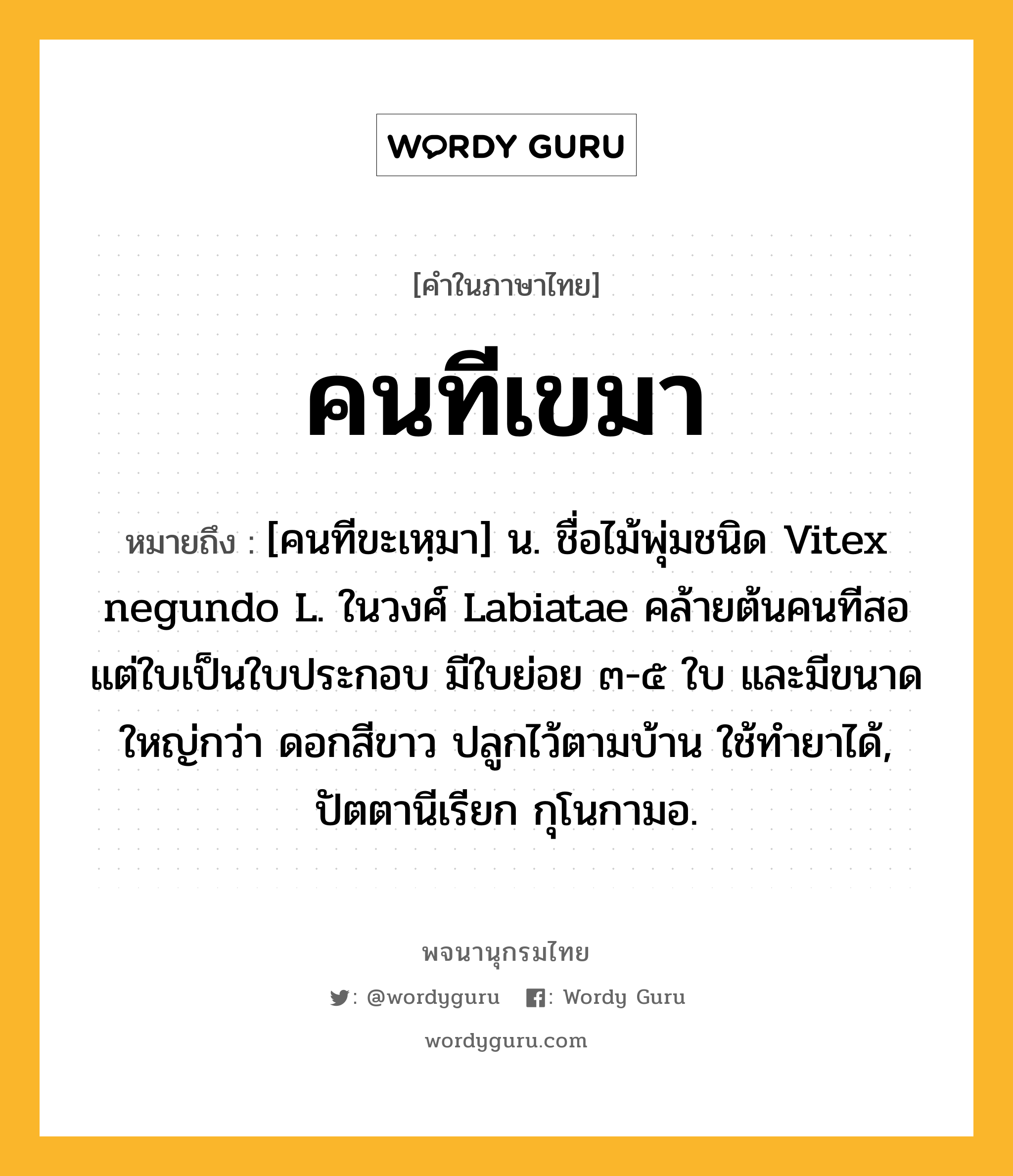 คนทีเขมา หมายถึงอะไร?, คำในภาษาไทย คนทีเขมา หมายถึง [คนทีขะเหฺมา] น. ชื่อไม้พุ่มชนิด Vitex negundo L. ในวงศ์ Labiatae คล้ายต้นคนทีสอ แต่ใบเป็นใบประกอบ มีใบย่อย ๓-๕ ใบ และมีขนาดใหญ่กว่า ดอกสีขาว ปลูกไว้ตามบ้าน ใช้ทํายาได้, ปัตตานีเรียก กุโนกามอ.