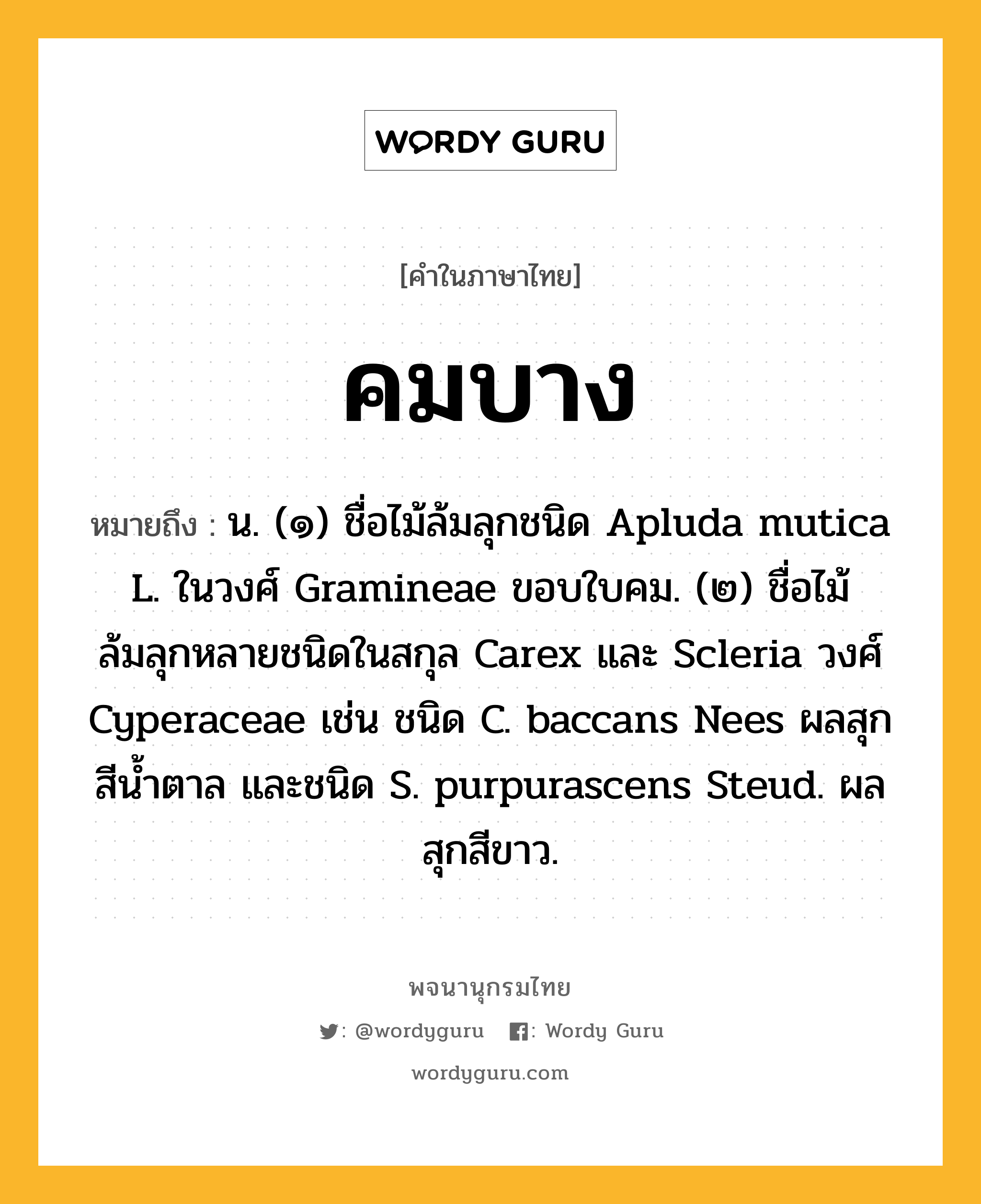 คมบาง ความหมาย หมายถึงอะไร?, คำในภาษาไทย คมบาง หมายถึง น. (๑) ชื่อไม้ล้มลุกชนิด Apluda mutica L. ในวงศ์ Gramineae ขอบใบคม. (๒) ชื่อไม้ล้มลุกหลายชนิดในสกุล Carex และ Scleria วงศ์ Cyperaceae เช่น ชนิด C. baccans Nees ผลสุกสีน้ำตาล และชนิด S. purpurascens Steud. ผลสุกสีขาว.