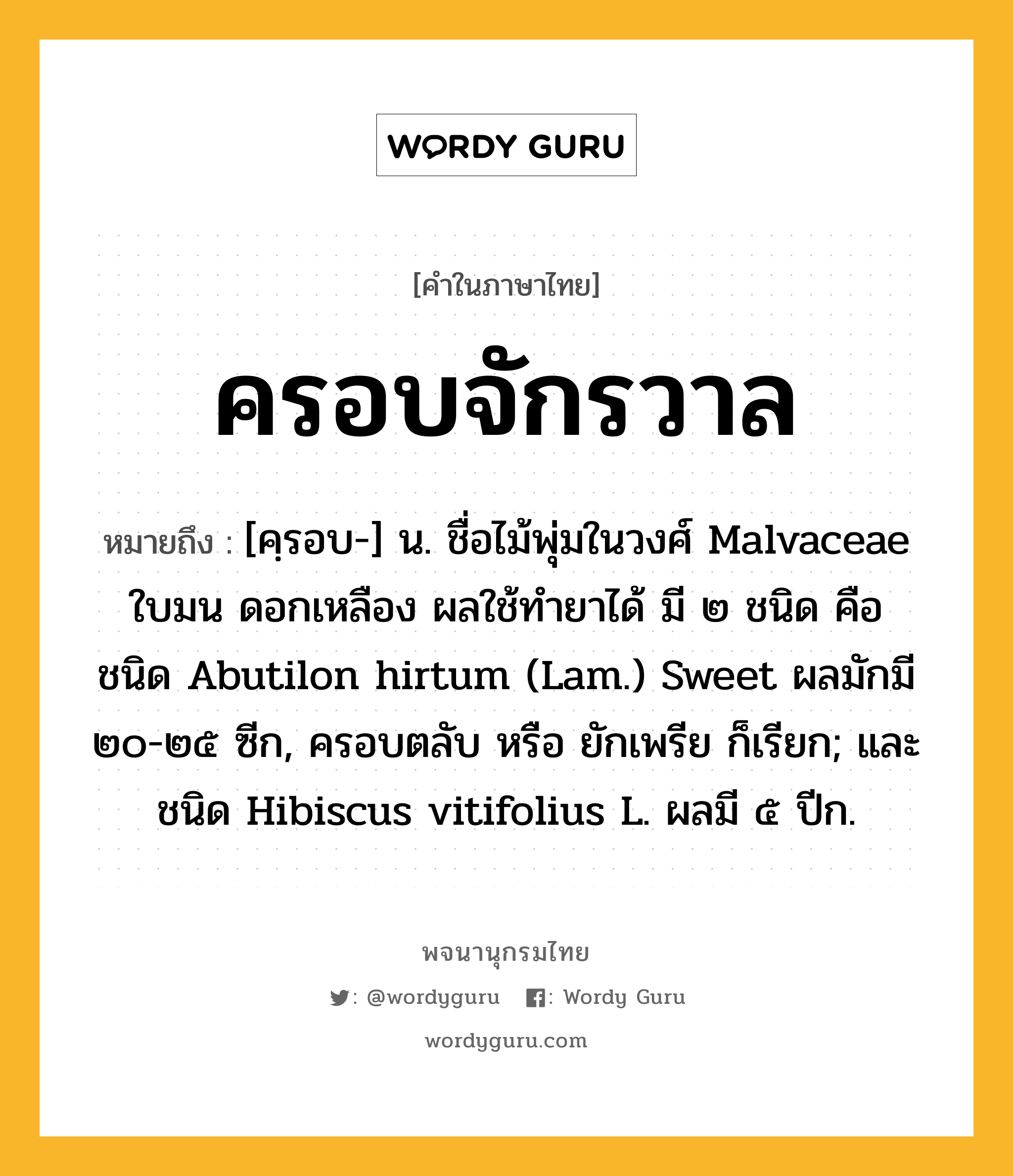 ครอบจักรวาล หมายถึงอะไร?, คำในภาษาไทย ครอบจักรวาล หมายถึง [คฺรอบ-] น. ชื่อไม้พุ่มในวงศ์ Malvaceae ใบมน ดอกเหลือง ผลใช้ทํายาได้ มี ๒ ชนิด คือ ชนิด Abutilon hirtum (Lam.) Sweet ผลมักมี ๒๐-๒๕ ซีก, ครอบตลับ หรือ ยักเพรีย ก็เรียก; และชนิด Hibiscus vitifolius L. ผลมี ๕ ปีก.