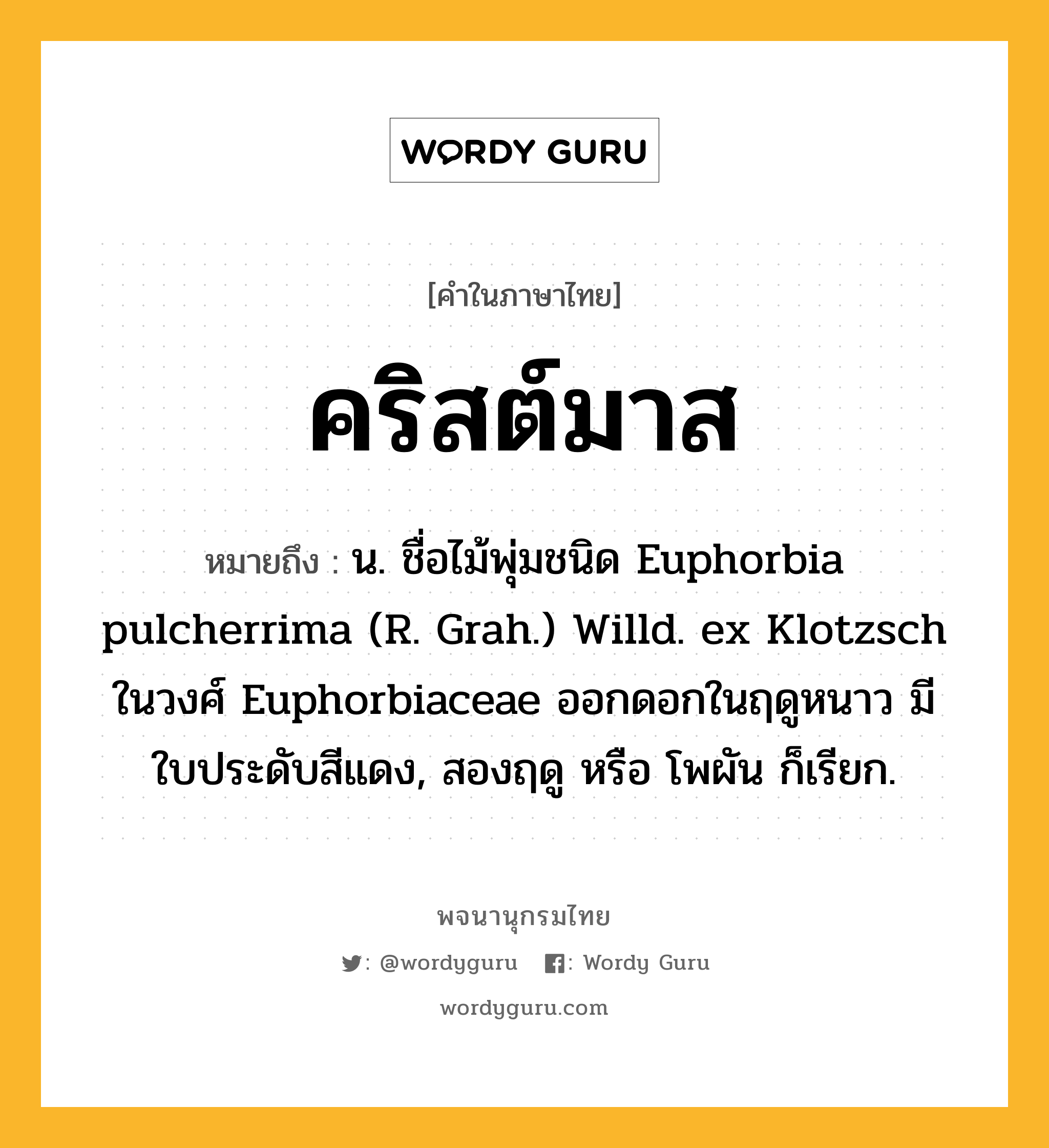 คริสต์มาส หมายถึงอะไร?, คำในภาษาไทย คริสต์มาส หมายถึง น. ชื่อไม้พุ่มชนิด Euphorbia pulcherrima (R. Grah.) Willd. ex Klotzsch ในวงศ์ Euphorbiaceae ออกดอกในฤดูหนาว มีใบประดับสีแดง, สองฤดู หรือ โพผัน ก็เรียก.