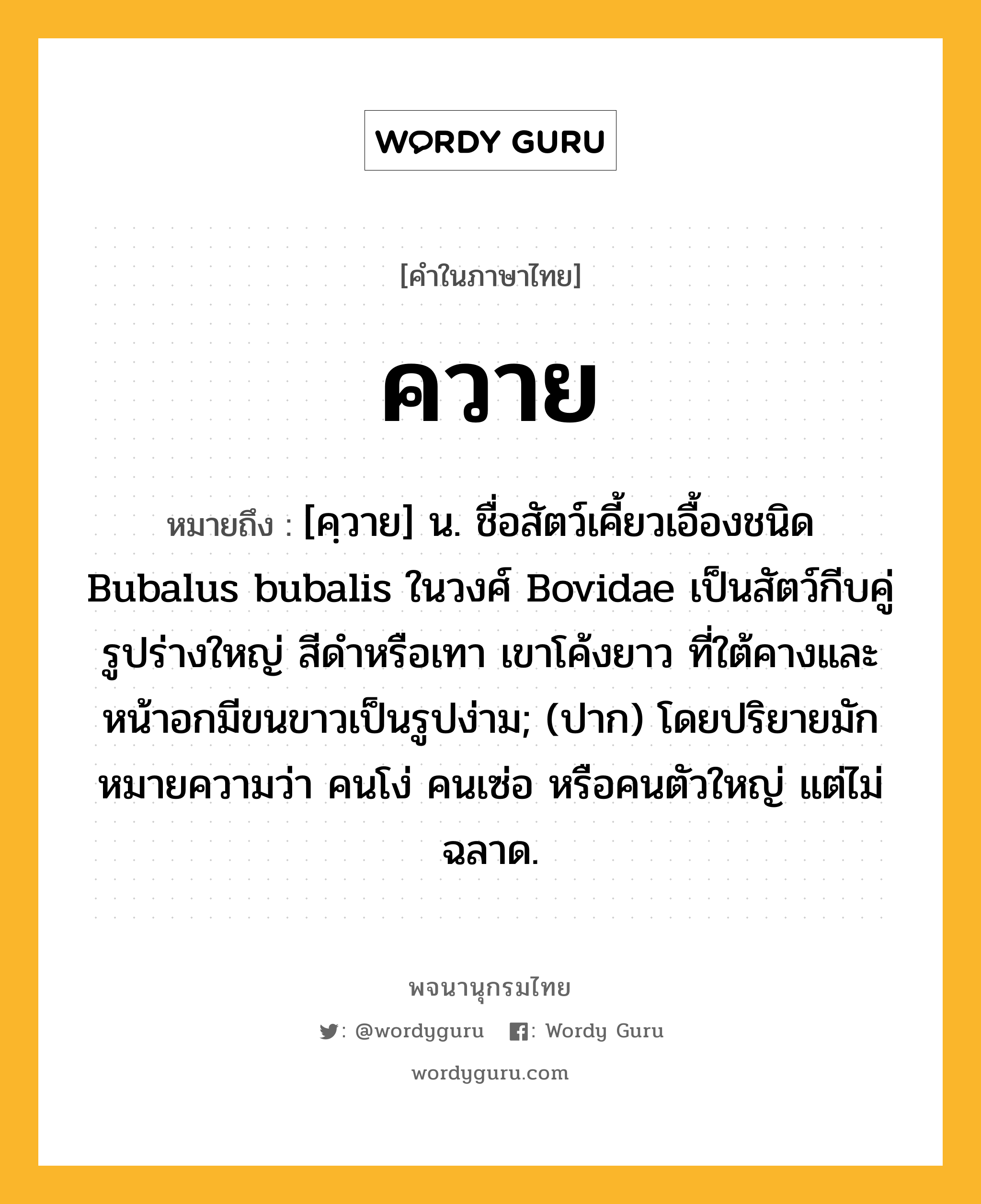 ควาย หมายถึงอะไร?, คำในภาษาไทย ควาย หมายถึง [คฺวาย] น. ชื่อสัตว์เคี้ยวเอื้องชนิด Bubalus bubalis ในวงศ์ Bovidae เป็นสัตว์กีบคู่ รูปร่างใหญ่ สีดําหรือเทา เขาโค้งยาว ที่ใต้คางและหน้าอกมีขนขาวเป็นรูปง่าม; (ปาก) โดยปริยายมักหมายความว่า คนโง่ คนเซ่อ หรือคนตัวใหญ่ แต่ไม่ฉลาด.