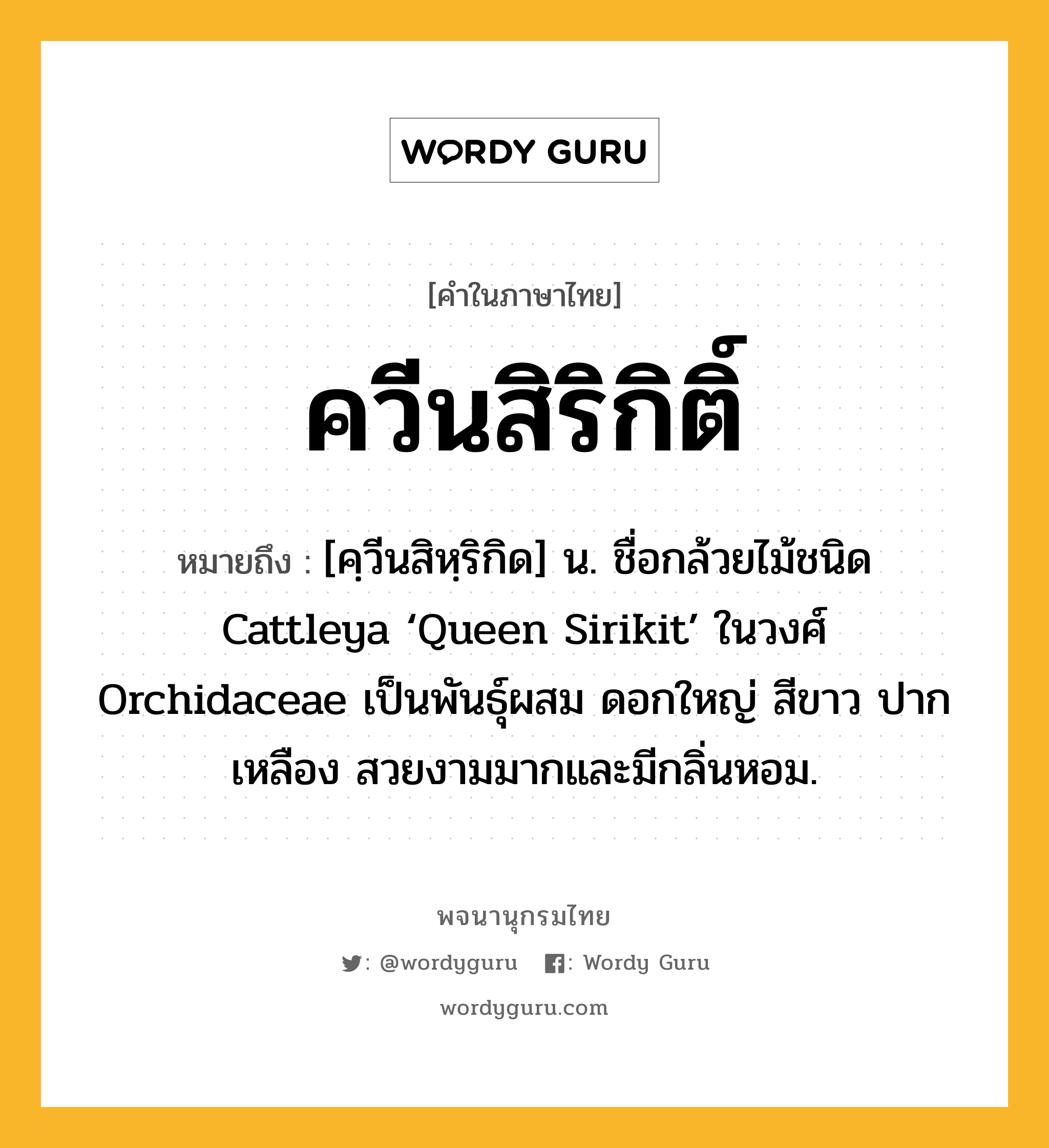 ควีนสิริกิติ์ หมายถึงอะไร?, คำในภาษาไทย ควีนสิริกิติ์ หมายถึง [คฺวีนสิหฺริกิด] น. ชื่อกล้วยไม้ชนิด Cattleya ‘Queen Sirikit’ ในวงศ์ Orchidaceae เป็นพันธุ์ผสม ดอกใหญ่ สีขาว ปากเหลือง สวยงามมากและมีกลิ่นหอม.