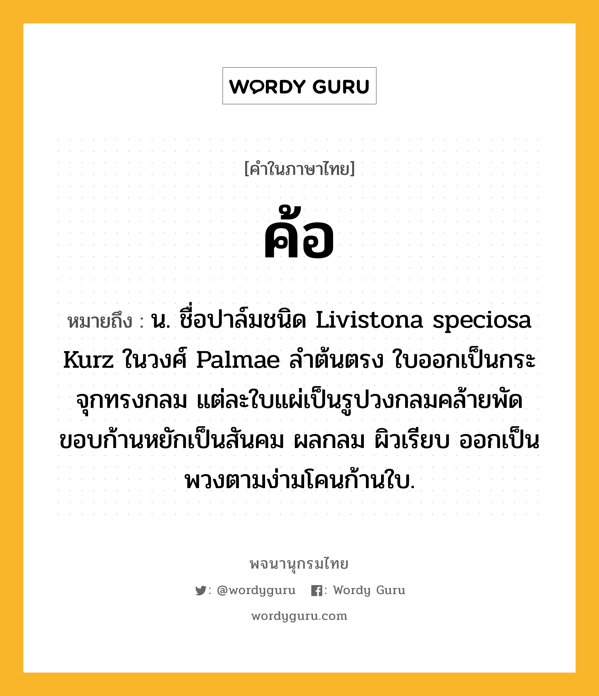 ค้อ หมายถึงอะไร?, คำในภาษาไทย ค้อ หมายถึง น. ชื่อปาล์มชนิด Livistona speciosa Kurz ในวงศ์ Palmae ลำต้นตรง ใบออกเป็นกระจุกทรงกลม แต่ละใบแผ่เป็นรูปวงกลมคล้ายพัด ขอบก้านหยักเป็นสันคม ผลกลม ผิวเรียบ ออกเป็นพวงตามง่ามโคนก้านใบ.