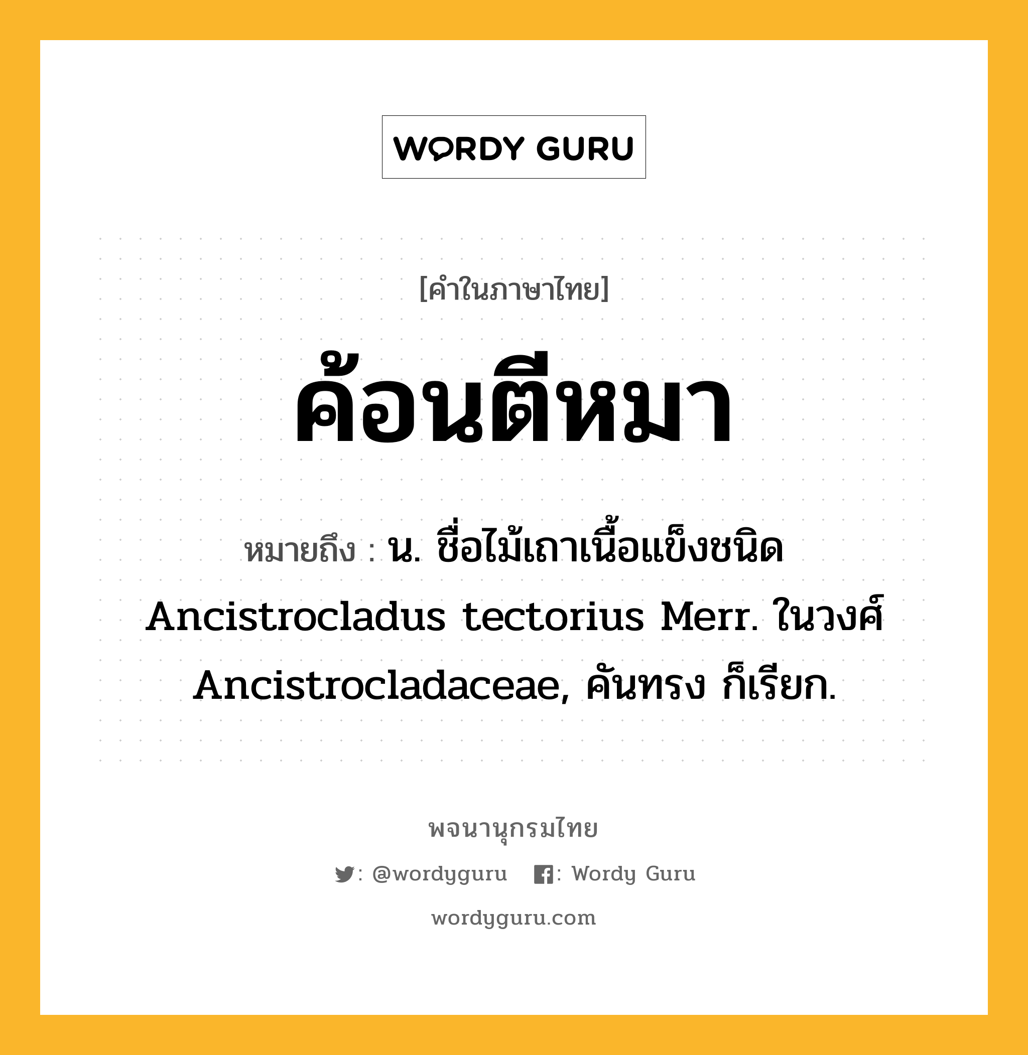 ค้อนตีหมา ความหมาย หมายถึงอะไร?, คำในภาษาไทย ค้อนตีหมา หมายถึง น. ชื่อไม้เถาเนื้อแข็งชนิด Ancistrocladus tectorius Merr. ในวงศ์ Ancistrocladaceae, คันทรง ก็เรียก.