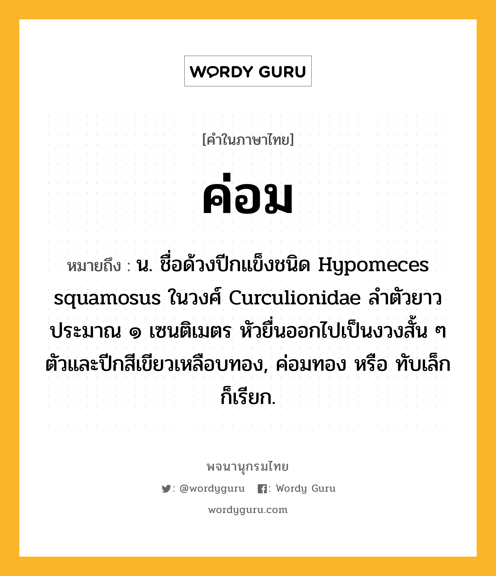 ค่อม หมายถึงอะไร?, คำในภาษาไทย ค่อม หมายถึง น. ชื่อด้วงปีกแข็งชนิด Hypomeces squamosus ในวงศ์ Curculionidae ลําตัวยาวประมาณ ๑ เซนติเมตร หัวยื่นออกไปเป็นงวงสั้น ๆ ตัวและปีกสีเขียวเหลือบทอง, ค่อมทอง หรือ ทับเล็ก ก็เรียก.