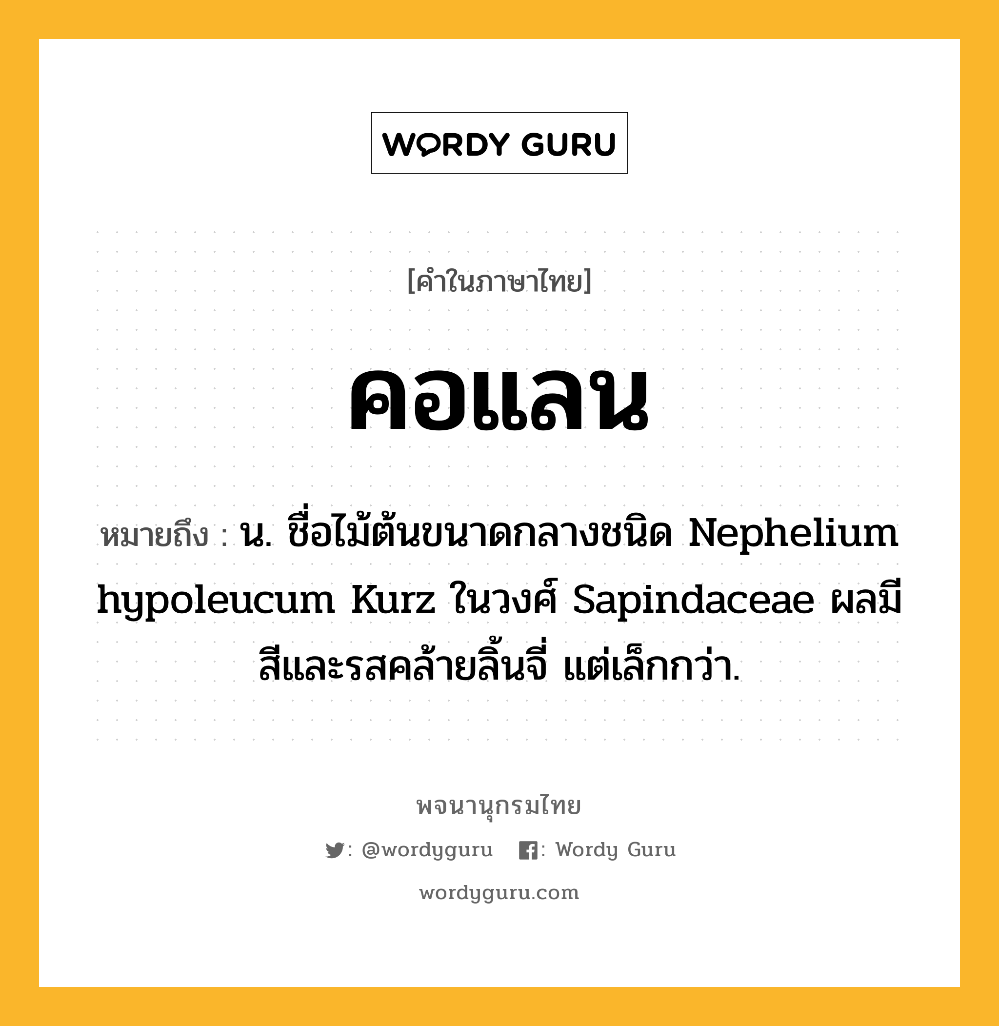 คอแลน หมายถึงอะไร?, คำในภาษาไทย คอแลน หมายถึง น. ชื่อไม้ต้นขนาดกลางชนิด Nephelium hypoleucum Kurz ในวงศ์ Sapindaceae ผลมีสีและรสคล้ายลิ้นจี่ แต่เล็กกว่า.