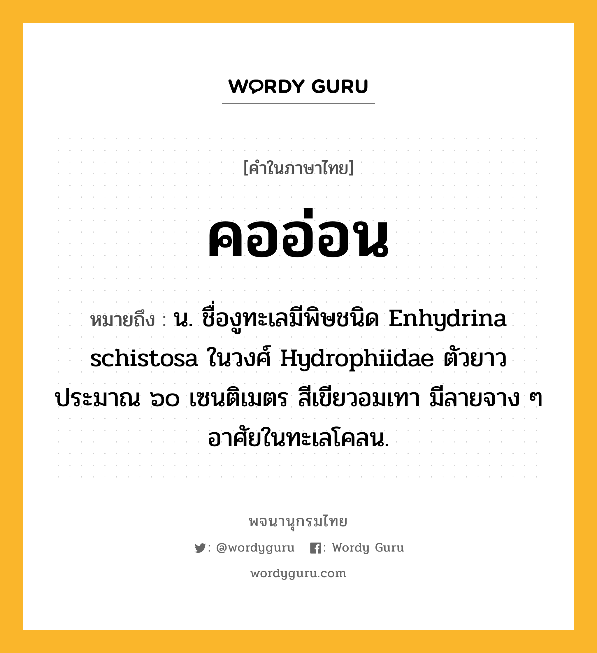 คออ่อน หมายถึงอะไร?, คำในภาษาไทย คออ่อน หมายถึง น. ชื่องูทะเลมีพิษชนิด Enhydrina schistosa ในวงศ์ Hydrophiidae ตัวยาวประมาณ ๖๐ เซนติเมตร สีเขียวอมเทา มีลายจาง ๆ อาศัยในทะเลโคลน.