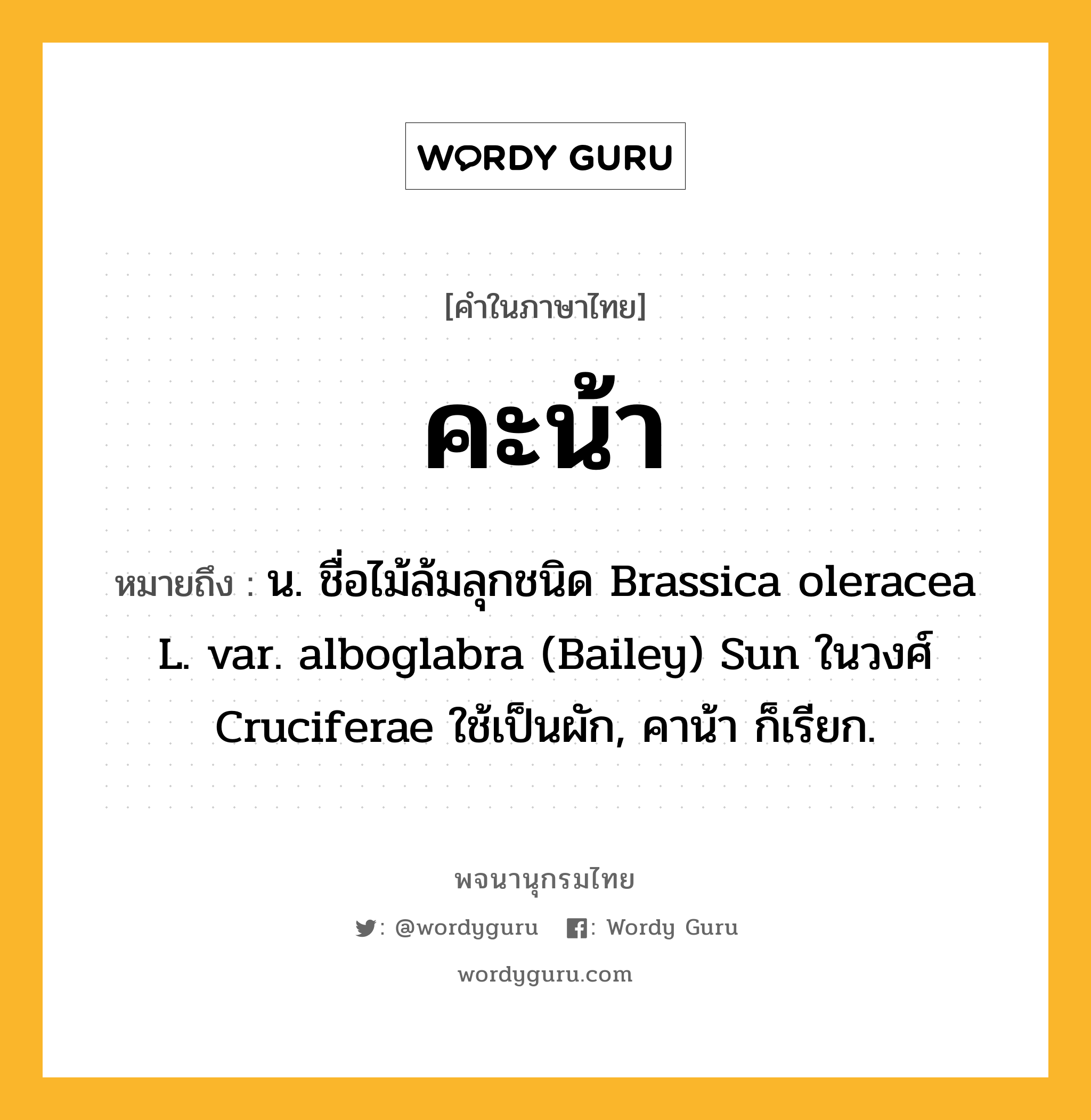 คะน้า หมายถึงอะไร?, คำในภาษาไทย คะน้า หมายถึง น. ชื่อไม้ล้มลุกชนิด Brassica oleracea L. var. alboglabra (Bailey) Sun ในวงศ์ Cruciferae ใช้เป็นผัก, คาน้า ก็เรียก.