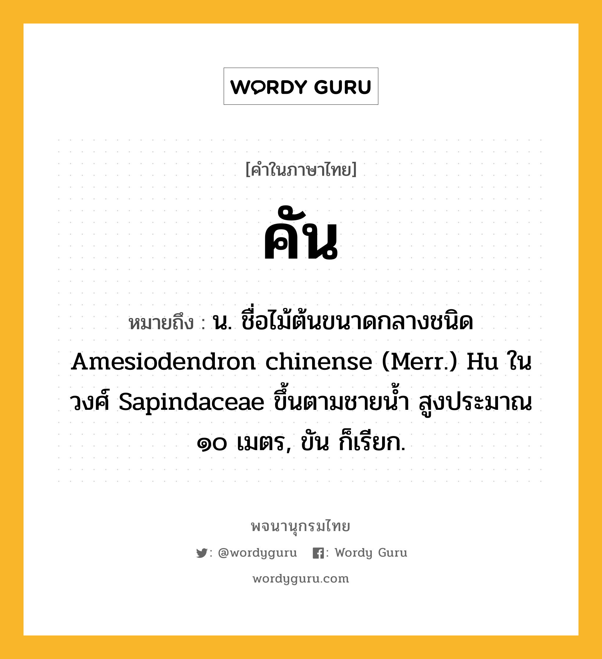 คัน หมายถึงอะไร?, คำในภาษาไทย คัน หมายถึง น. ชื่อไม้ต้นขนาดกลางชนิด Amesiodendron chinense (Merr.) Hu ในวงศ์ Sapindaceae ขึ้นตามชายนํ้า สูงประมาณ ๑๐ เมตร, ขัน ก็เรียก.