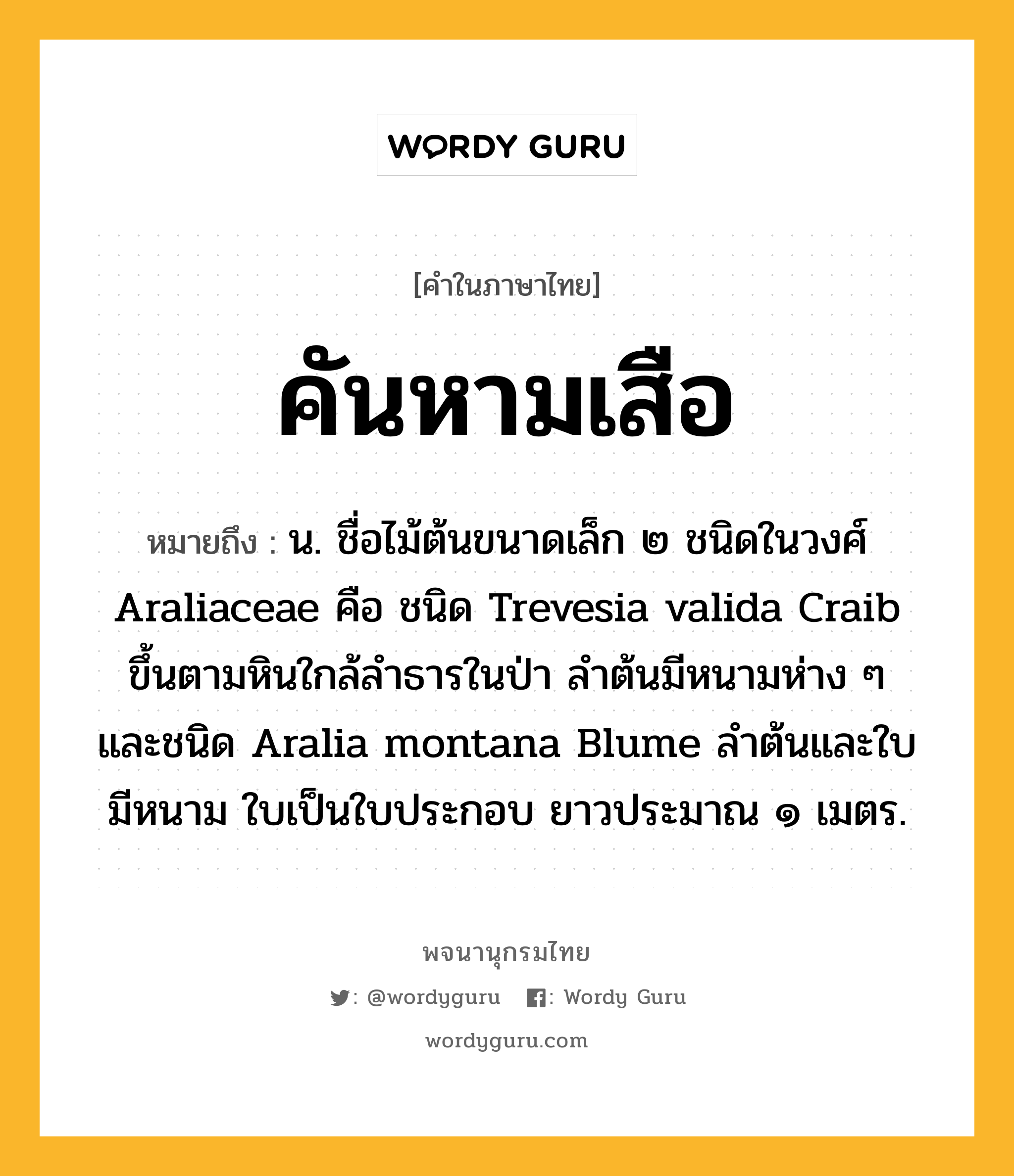 คันหามเสือ หมายถึงอะไร?, คำในภาษาไทย คันหามเสือ หมายถึง น. ชื่อไม้ต้นขนาดเล็ก ๒ ชนิดในวงศ์ Araliaceae คือ ชนิด Trevesia valida Craib ขึ้นตามหินใกล้ลําธารในป่า ลําต้นมีหนามห่าง ๆ และชนิด Aralia montana Blume ลําต้นและใบมีหนาม ใบเป็นใบประกอบ ยาวประมาณ ๑ เมตร.