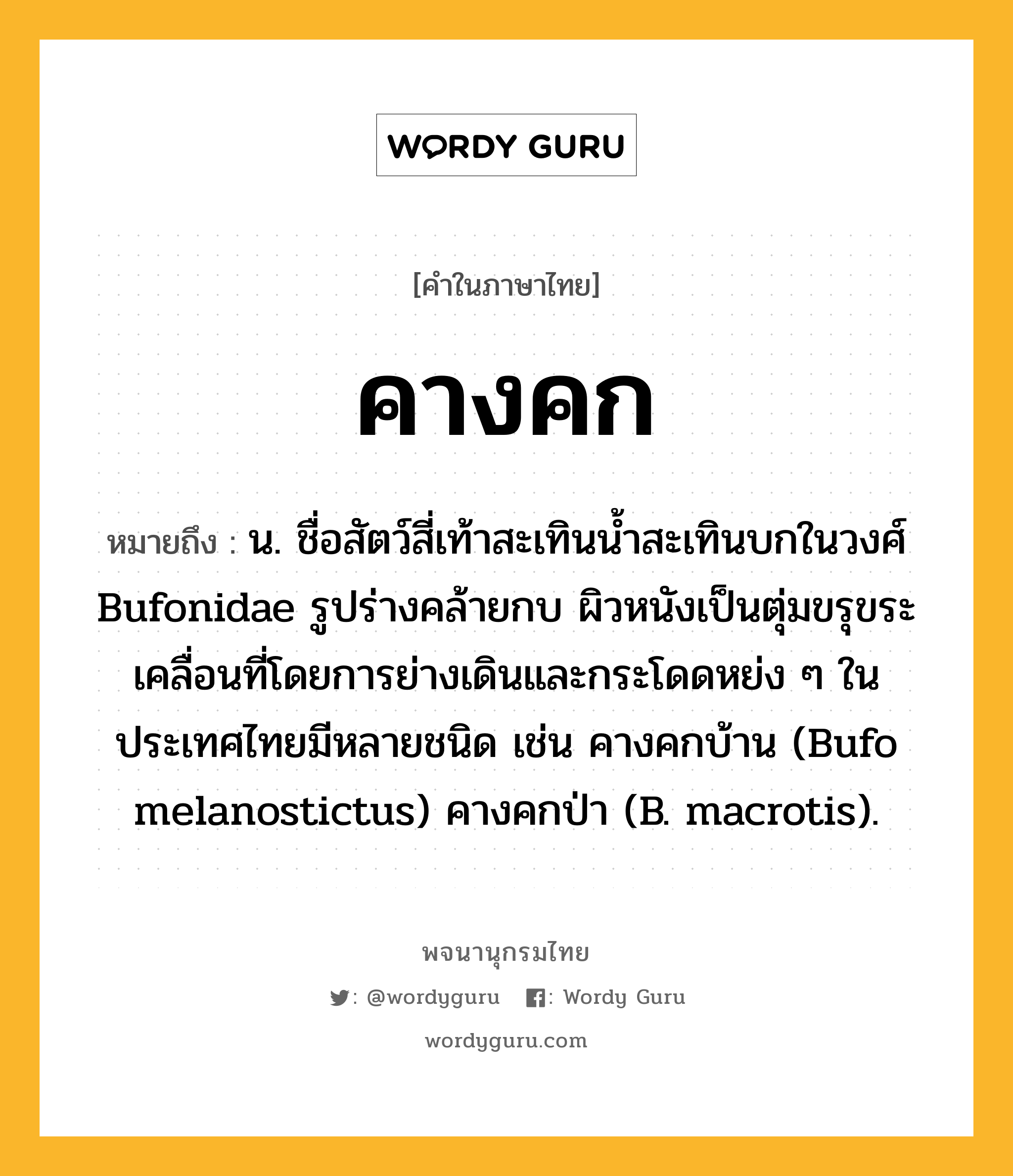 คางคก หมายถึงอะไร?, คำในภาษาไทย คางคก หมายถึง น. ชื่อสัตว์สี่เท้าสะเทินนํ้าสะเทินบกในวงศ์ Bufonidae รูปร่างคล้ายกบ ผิวหนังเป็นตุ่มขรุขระ เคลื่อนที่โดยการย่างเดินและกระโดดหย่ง ๆ ในประเทศไทยมีหลายชนิด เช่น คางคกบ้าน (Bufo melanostictus) คางคกป่า (B. macrotis).