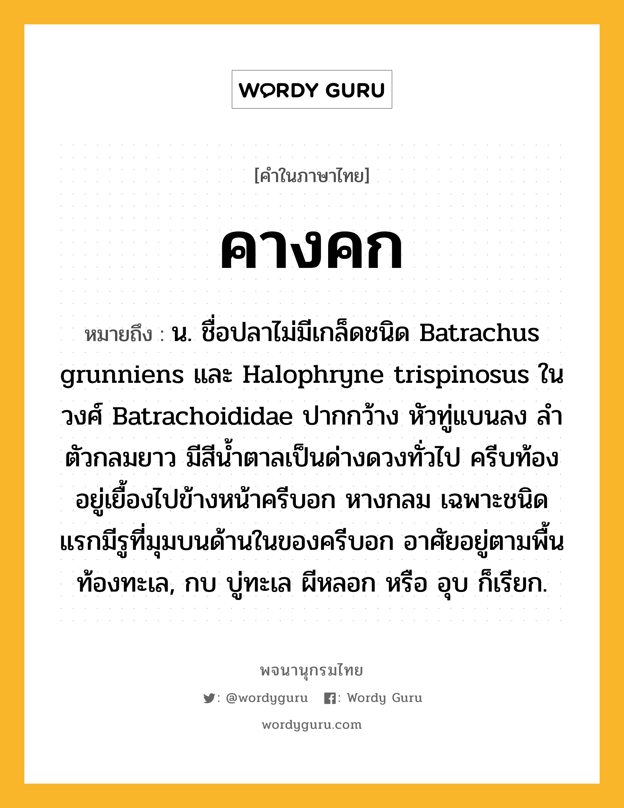 คางคก หมายถึงอะไร?, คำในภาษาไทย คางคก หมายถึง น. ชื่อปลาไม่มีเกล็ดชนิด Batrachus grunniens และ Halophryne trispinosus ในวงศ์ Batrachoididae ปากกว้าง หัวทู่แบนลง ลําตัวกลมยาว มีสีนํ้าตาลเป็นด่างดวงทั่วไป ครีบท้องอยู่เยื้องไปข้างหน้าครีบอก หางกลม เฉพาะชนิดแรกมีรูที่มุมบนด้านในของครีบอก อาศัยอยู่ตามพื้นท้องทะเล, กบ บู่ทะเล ผีหลอก หรือ อุบ ก็เรียก.