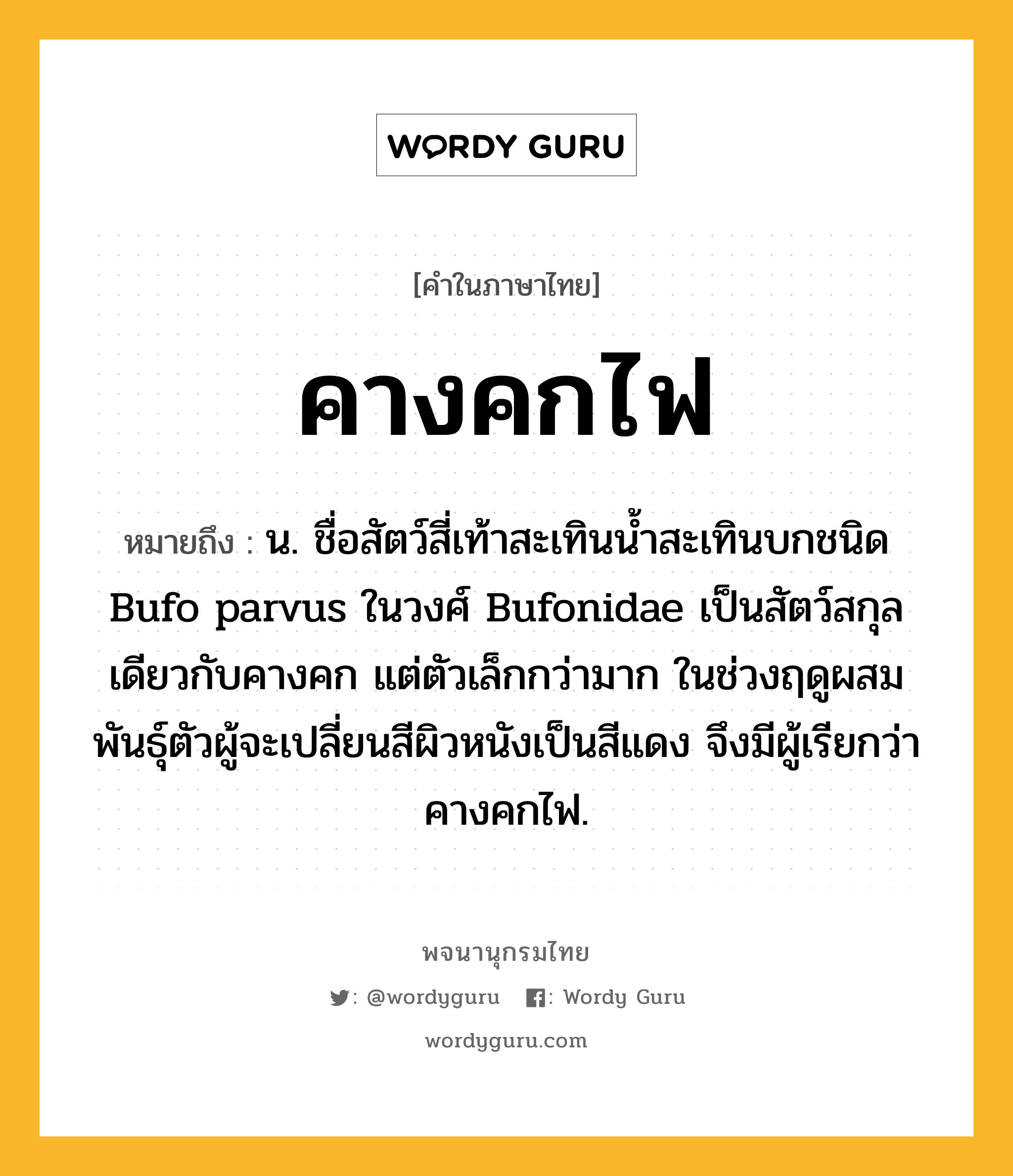 คางคกไฟ หมายถึงอะไร?, คำในภาษาไทย คางคกไฟ หมายถึง น. ชื่อสัตว์สี่เท้าสะเทินนํ้าสะเทินบกชนิด Bufo parvus ในวงศ์ Bufonidae เป็นสัตว์สกุลเดียวกับคางคก แต่ตัวเล็กกว่ามาก ในช่วงฤดูผสมพันธุ์ตัวผู้จะเปลี่ยนสีผิวหนังเป็นสีแดง จึงมีผู้เรียกว่า คางคกไฟ.