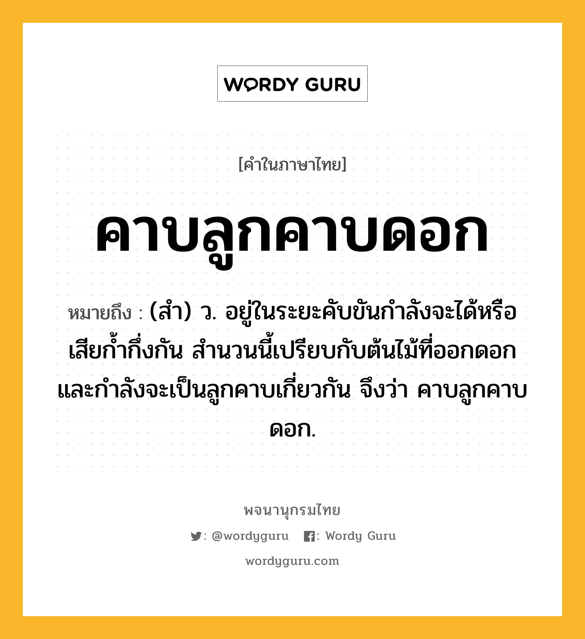 คาบลูกคาบดอก ความหมาย หมายถึงอะไร?, คำในภาษาไทย คาบลูกคาบดอก หมายถึง (สํา) ว. อยู่ในระยะคับขันกำลังจะได้หรือเสียก้ำกึ่งกัน สำนวนนี้เปรียบกับต้นไม้ที่ออกดอกและกำลังจะเป็นลูกคาบเกี่ยวกัน จึงว่า คาบลูกคาบดอก.