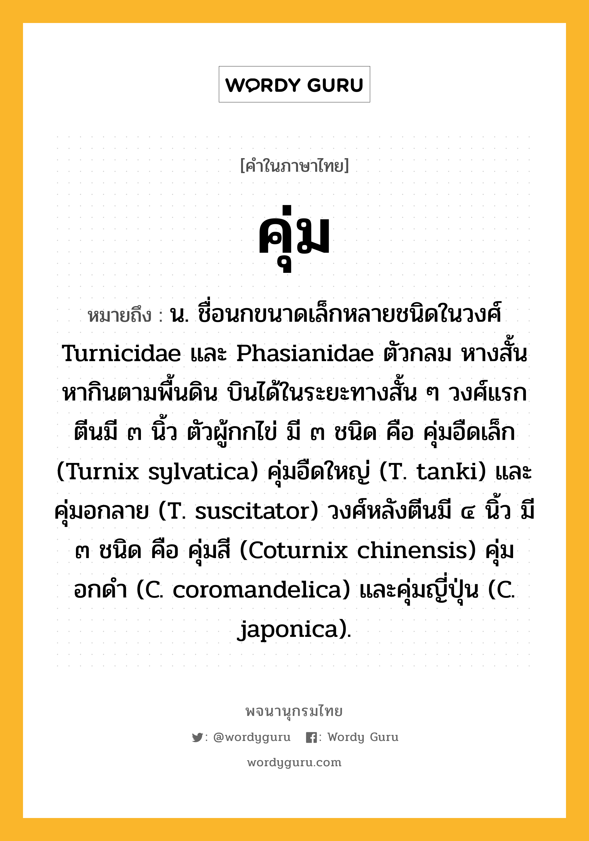 คุ่ม หมายถึงอะไร?, คำในภาษาไทย คุ่ม หมายถึง น. ชื่อนกขนาดเล็กหลายชนิดในวงศ์ Turnicidae และ Phasianidae ตัวกลม หางสั้น หากินตามพื้นดิน บินได้ในระยะทางสั้น ๆ วงศ์แรกตีนมี ๓ นิ้ว ตัวผู้กกไข่ มี ๓ ชนิด คือ คุ่มอืดเล็ก (Turnix sylvatica) คุ่มอืดใหญ่ (T. tanki) และคุ่มอกลาย (T. suscitator) วงศ์หลังตีนมี ๔ นิ้ว มี ๓ ชนิด คือ คุ่มสี (Coturnix chinensis) คุ่มอกดํา (C. coromandelica) และคุ่มญี่ปุ่น (C. japonica).