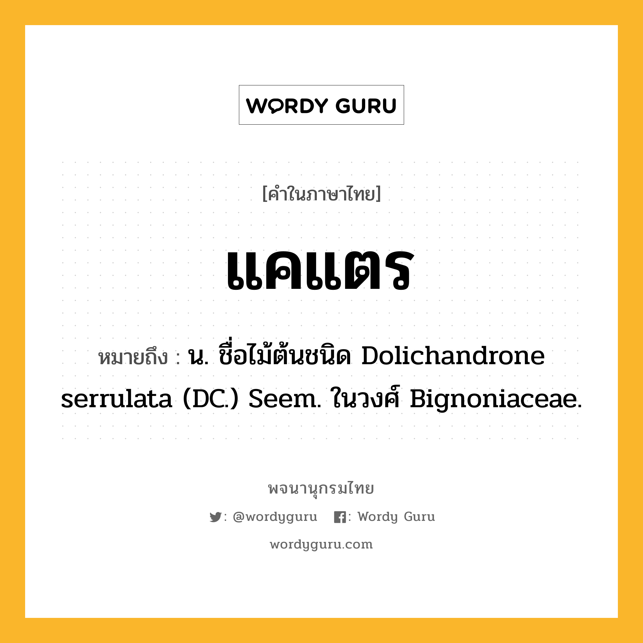 แคแตร หมายถึงอะไร?, คำในภาษาไทย แคแตร หมายถึง น. ชื่อไม้ต้นชนิด Dolichandrone serrulata (DC.) Seem. ในวงศ์ Bignoniaceae.