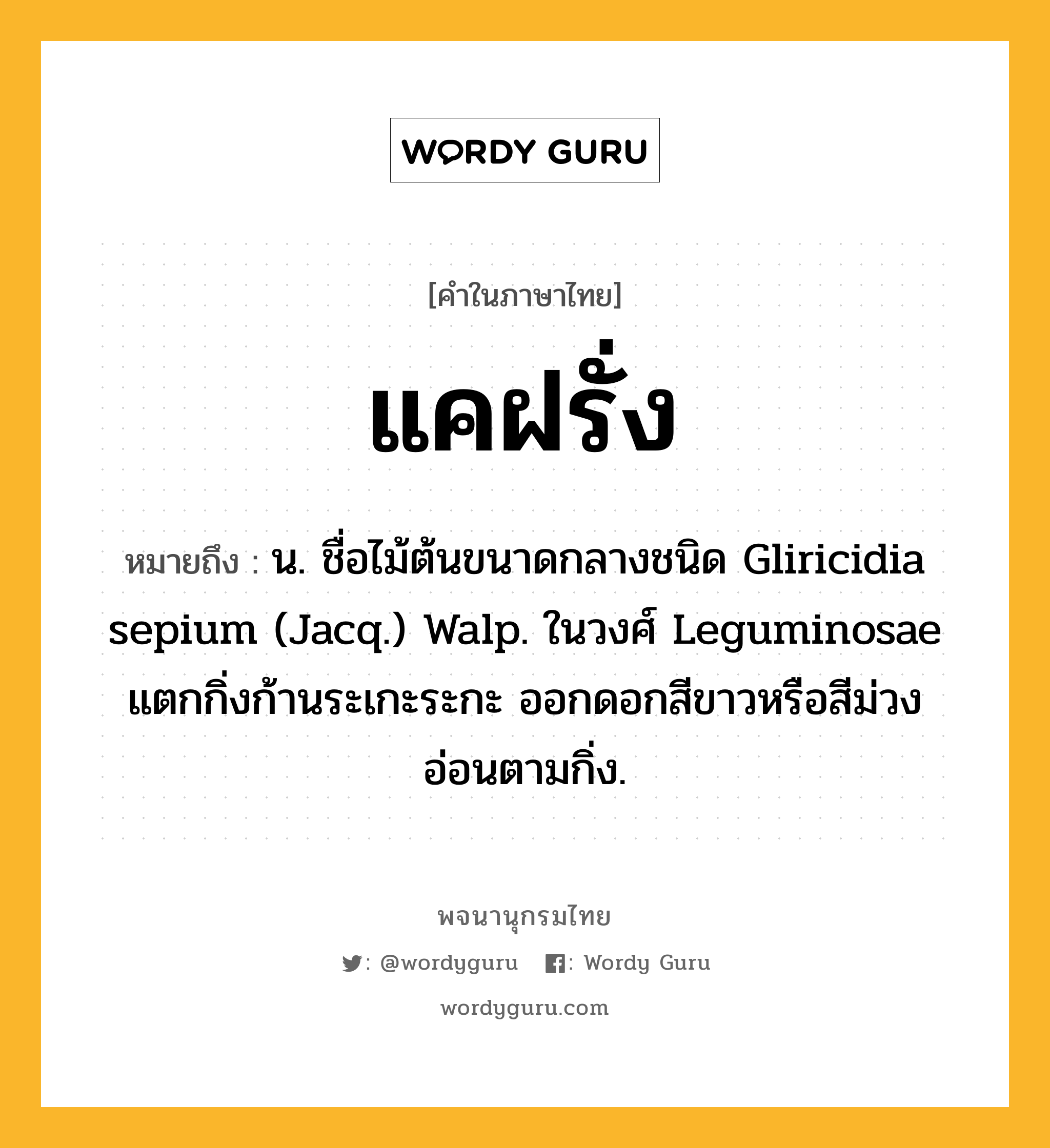 แคฝรั่ง ความหมาย หมายถึงอะไร?, คำในภาษาไทย แคฝรั่ง หมายถึง น. ชื่อไม้ต้นขนาดกลางชนิด Gliricidia sepium (Jacq.) Walp. ในวงศ์ Leguminosae แตกกิ่งก้านระเกะระกะ ออกดอกสีขาวหรือสีม่วงอ่อนตามกิ่ง.