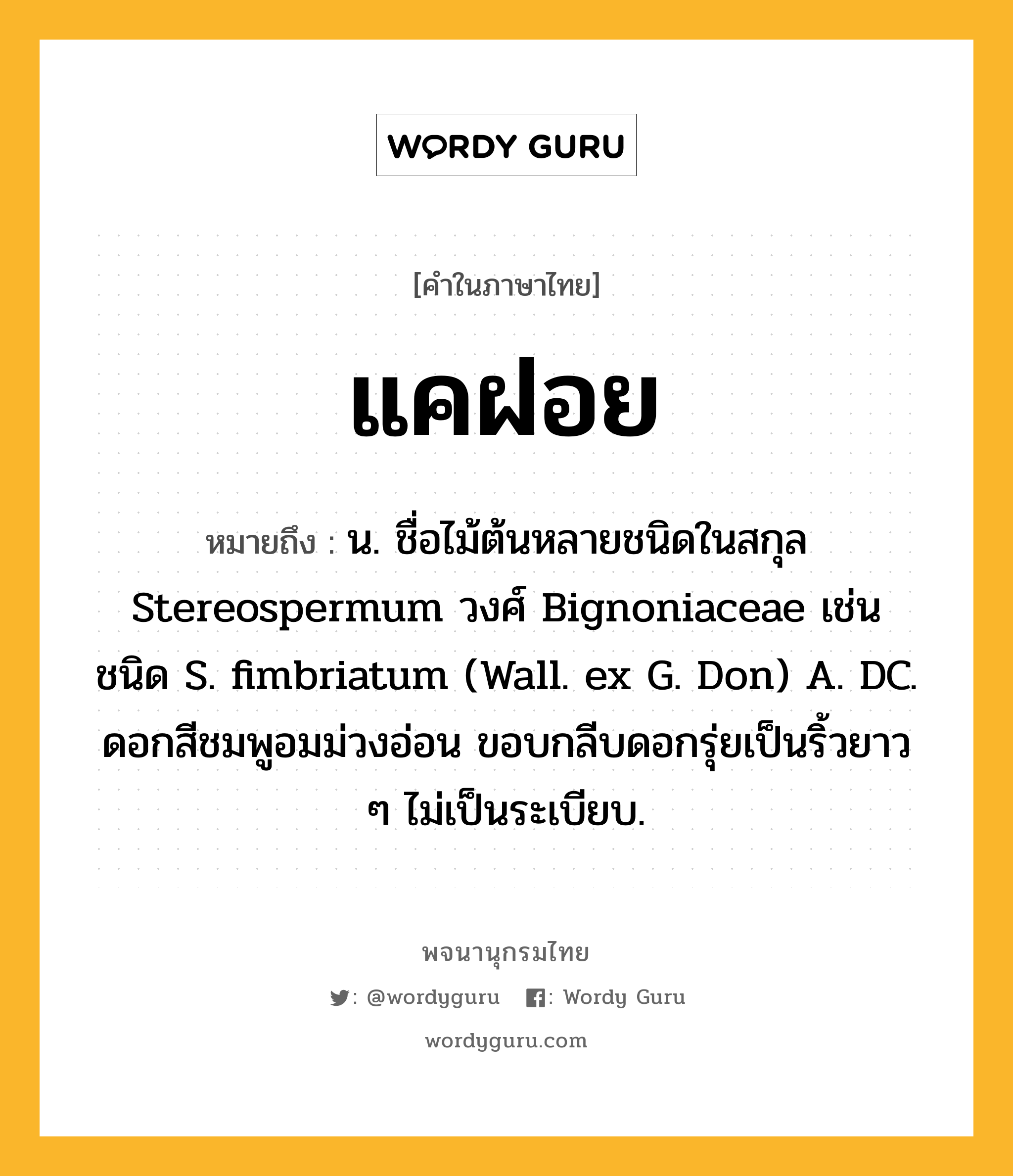 แคฝอย ความหมาย หมายถึงอะไร?, คำในภาษาไทย แคฝอย หมายถึง น. ชื่อไม้ต้นหลายชนิดในสกุล Stereospermum วงศ์ Bignoniaceae เช่น ชนิด S. fimbriatum (Wall. ex G. Don) A. DC. ดอกสีชมพูอมม่วงอ่อน ขอบกลีบดอกรุ่ยเป็นริ้วยาว ๆ ไม่เป็นระเบียบ.