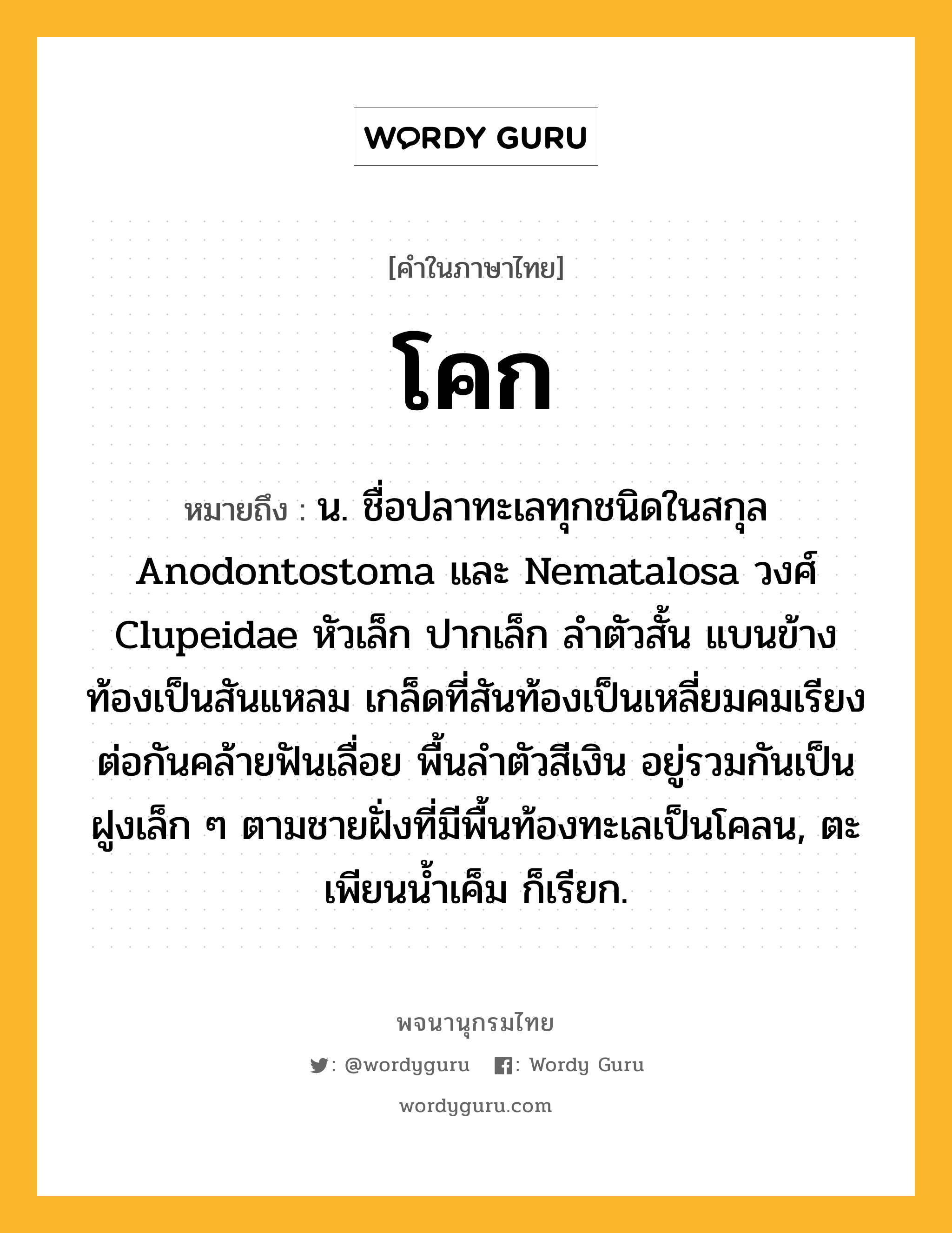 โคก หมายถึงอะไร?, คำในภาษาไทย โคก หมายถึง น. ชื่อปลาทะเลทุกชนิดในสกุล Anodontostoma และ Nematalosa วงศ์ Clupeidae หัวเล็ก ปากเล็ก ลําตัวสั้น แบนข้าง ท้องเป็นสันแหลม เกล็ดที่สันท้องเป็นเหลี่ยมคมเรียงต่อกันคล้ายฟันเลื่อย พื้นลําตัวสีเงิน อยู่รวมกันเป็นฝูงเล็ก ๆ ตามชายฝั่งที่มีพื้นท้องทะเลเป็นโคลน, ตะเพียนนํ้าเค็ม ก็เรียก.