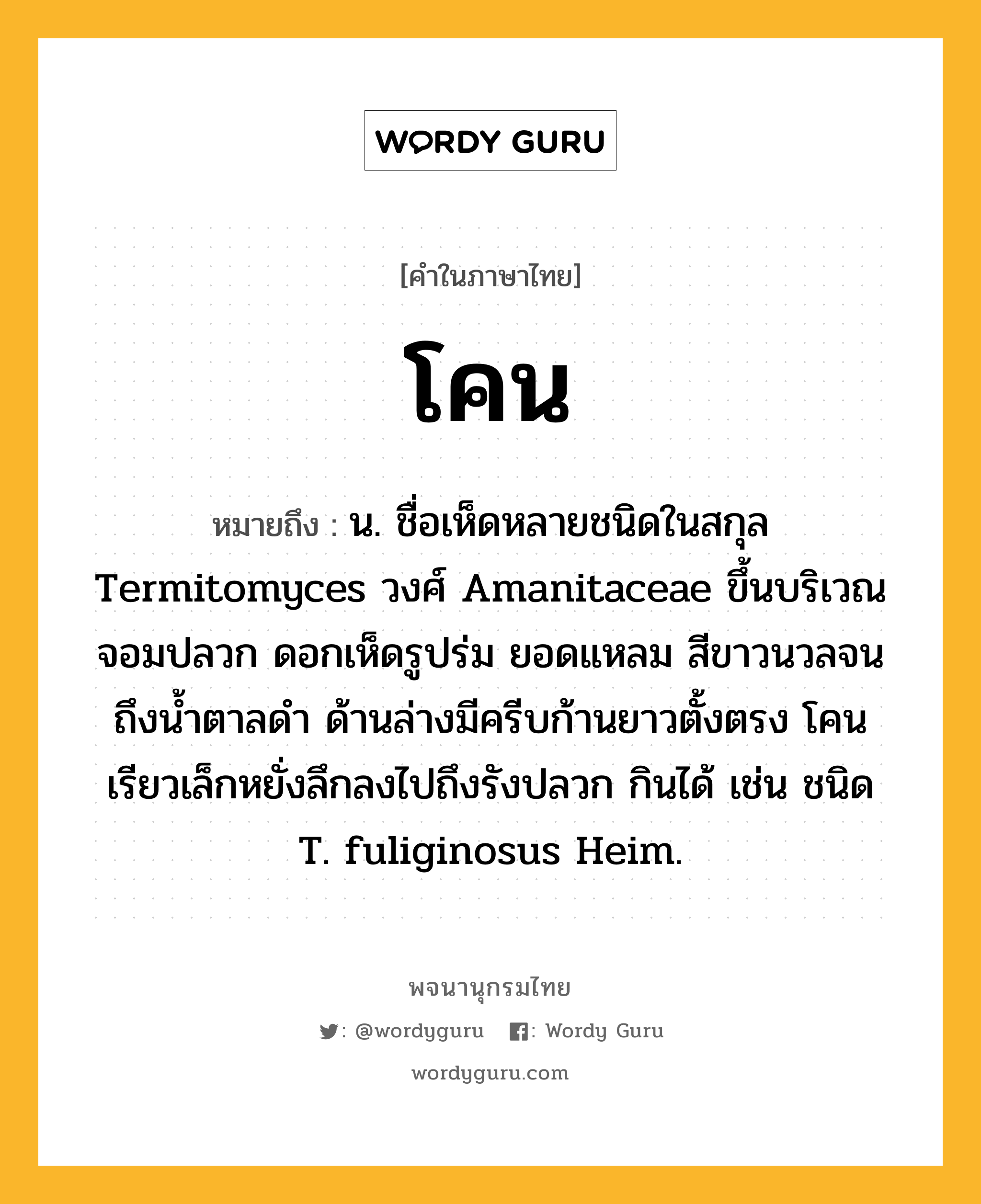 โคน หมายถึงอะไร?, คำในภาษาไทย โคน หมายถึง น. ชื่อเห็ดหลายชนิดในสกุล Termitomyces วงศ์ Amanitaceae ขึ้นบริเวณจอมปลวก ดอกเห็ดรูปร่ม ยอดแหลม สีขาวนวลจนถึงนํ้าตาลดํา ด้านล่างมีครีบก้านยาวตั้งตรง โคนเรียวเล็กหยั่งลึกลงไปถึงรังปลวก กินได้ เช่น ชนิด T. fuliginosus Heim.