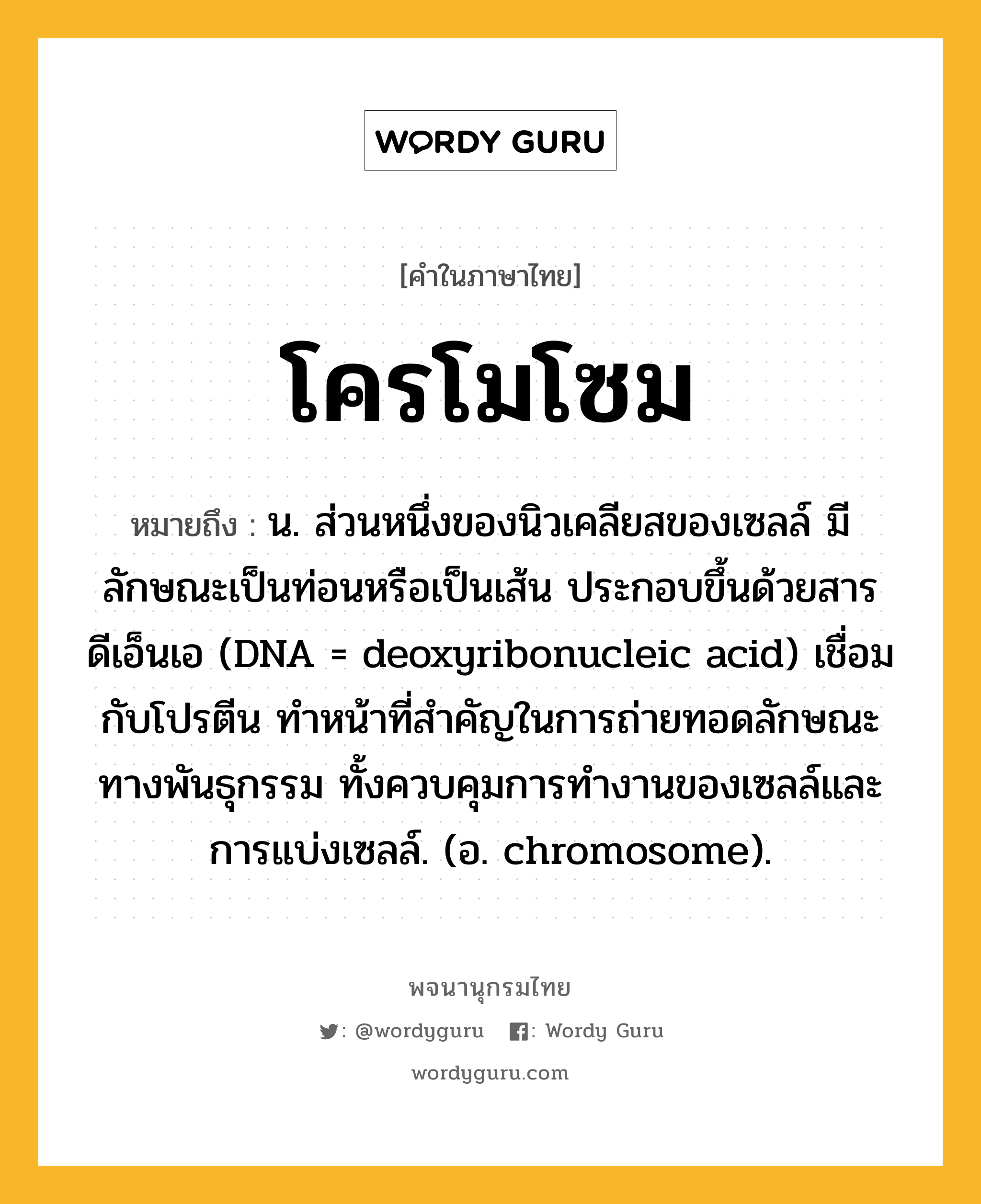 โครโมโซม หมายถึงอะไร?, คำในภาษาไทย โครโมโซม หมายถึง น. ส่วนหนึ่งของนิวเคลียสของเซลล์ มีลักษณะเป็นท่อนหรือเป็นเส้น ประกอบขึ้นด้วยสารดีเอ็นเอ (DNA = deoxyribonucleic acid) เชื่อมกับโปรตีน ทําหน้าที่สําคัญในการถ่ายทอดลักษณะทางพันธุกรรม ทั้งควบคุมการทํางานของเซลล์และการแบ่งเซลล์. (อ. chromosome).