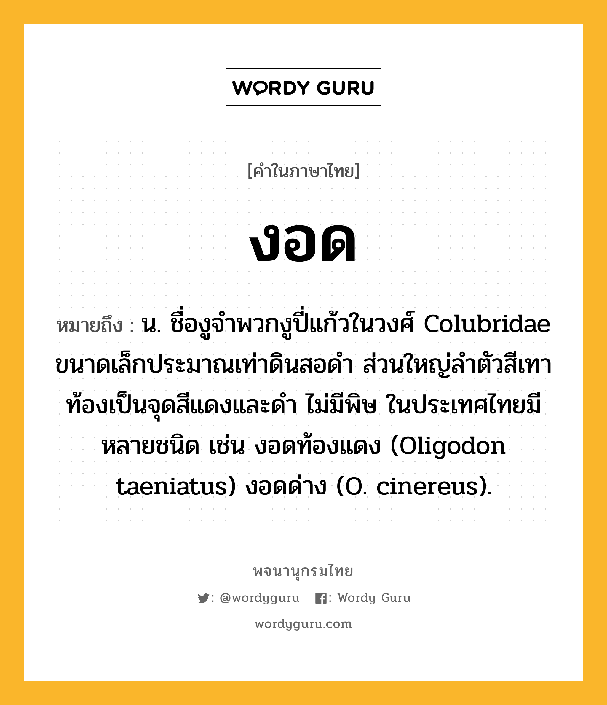 งอด หมายถึงอะไร?, คำในภาษาไทย งอด หมายถึง น. ชื่องูจําพวกงูปี่แก้วในวงศ์ Colubridae ขนาดเล็กประมาณเท่าดินสอดํา ส่วนใหญ่ลําตัวสีเทา ท้องเป็นจุดสีแดงและดํา ไม่มีพิษ ในประเทศไทยมีหลายชนิด เช่น งอดท้องแดง (Oligodon taeniatus) งอดด่าง (O. cinereus).