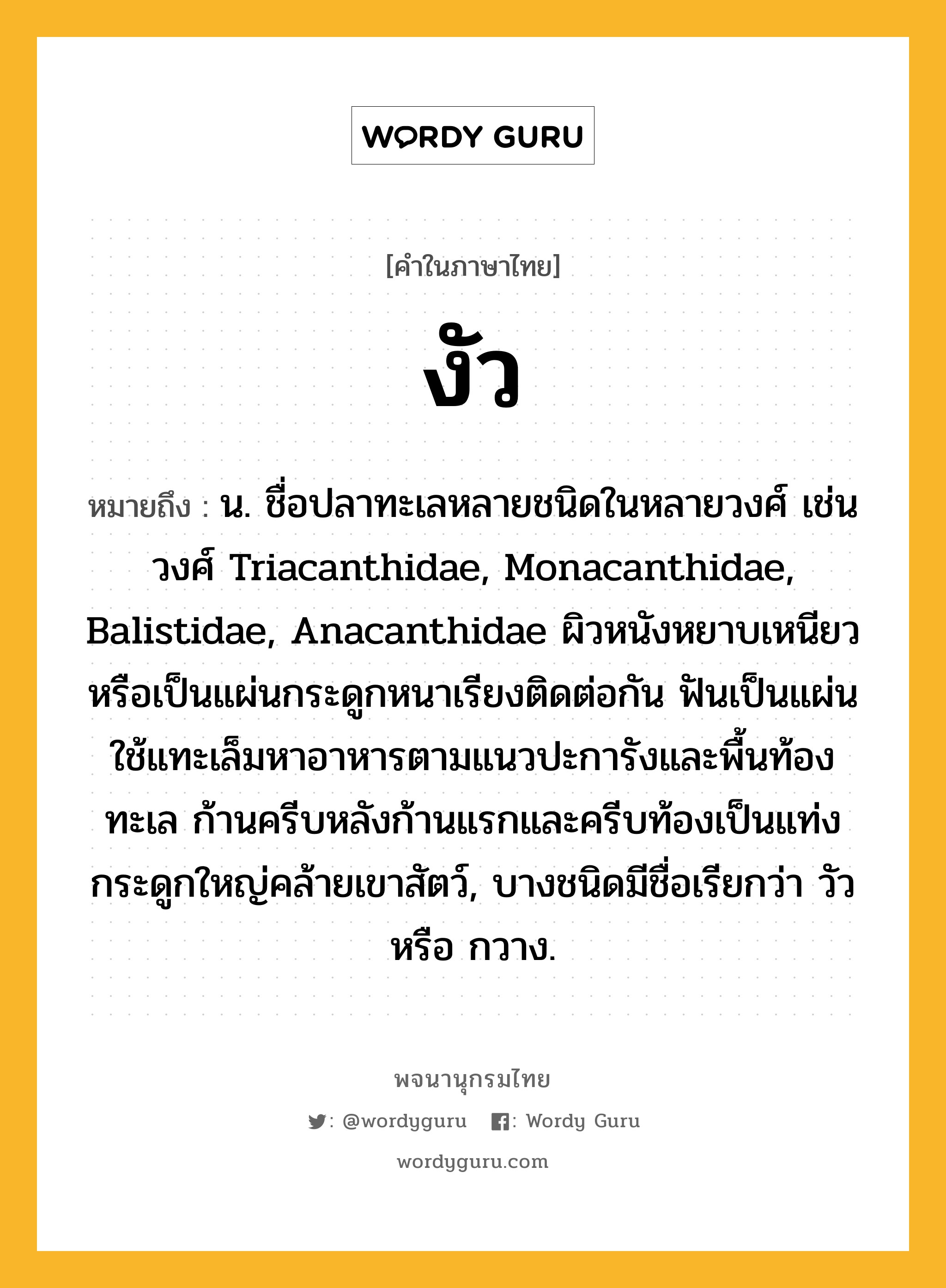 งัว หมายถึงอะไร?, คำในภาษาไทย งัว หมายถึง น. ชื่อปลาทะเลหลายชนิดในหลายวงศ์ เช่น วงศ์ Triacanthidae, Monacanthidae, Balistidae, Anacanthidae ผิวหนังหยาบเหนียวหรือเป็นแผ่นกระดูกหนาเรียงติดต่อกัน ฟันเป็นแผ่น ใช้แทะเล็มหาอาหารตามแนวปะการังและพื้นท้องทะเล ก้านครีบหลังก้านแรกและครีบท้องเป็นแท่งกระดูกใหญ่คล้ายเขาสัตว์, บางชนิดมีชื่อเรียกว่า วัว หรือ กวาง.