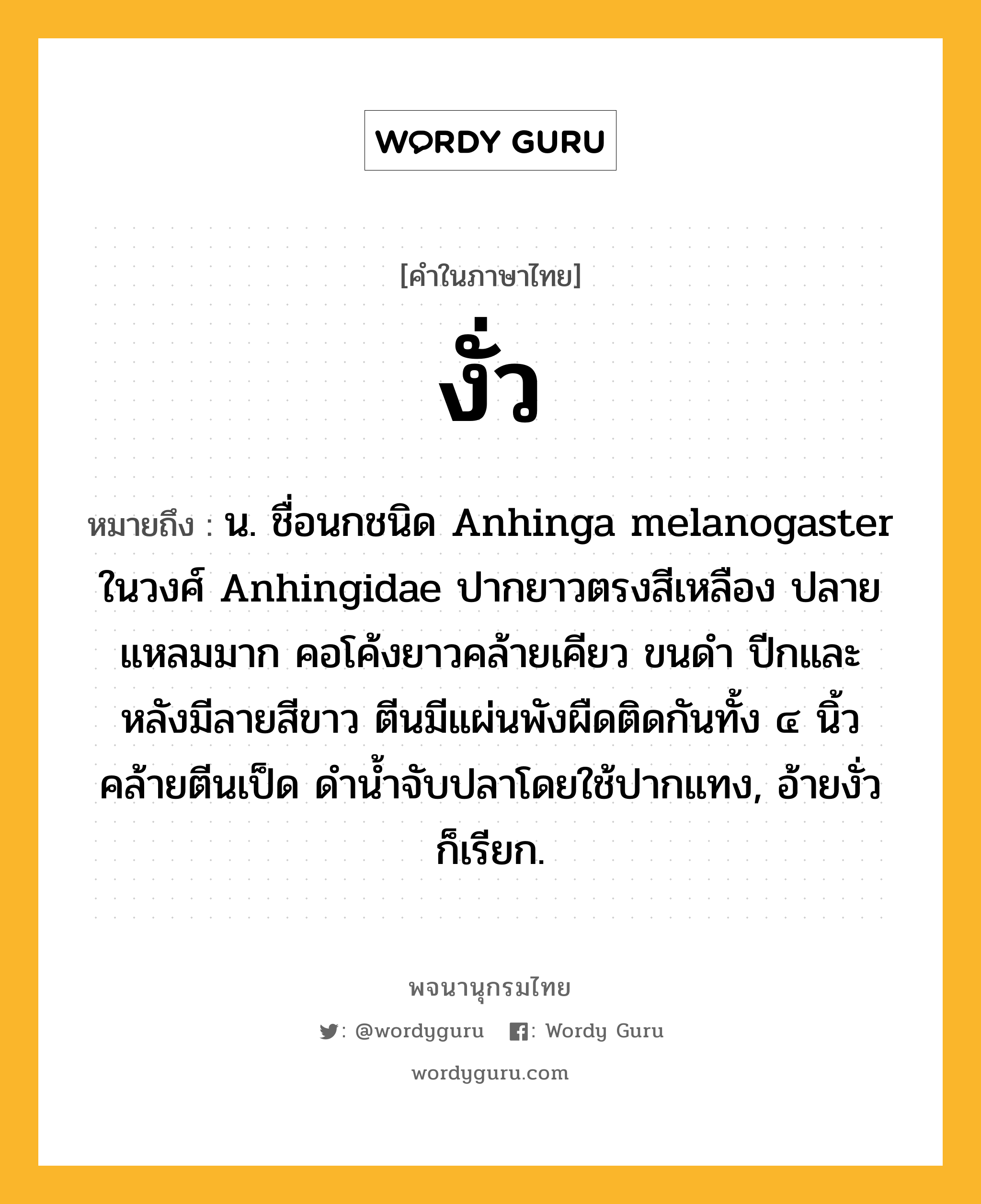 งั่ว หมายถึงอะไร?, คำในภาษาไทย งั่ว หมายถึง น. ชื่อนกชนิด Anhinga melanogaster ในวงศ์ Anhingidae ปากยาวตรงสีเหลือง ปลายแหลมมาก คอโค้งยาวคล้ายเคียว ขนดํา ปีกและหลังมีลายสีขาว ตีนมีแผ่นพังผืดติดกันทั้ง ๔ นิ้วคล้ายตีนเป็ด ดํานํ้าจับปลาโดยใช้ปากแทง, อ้ายงั่ว ก็เรียก.