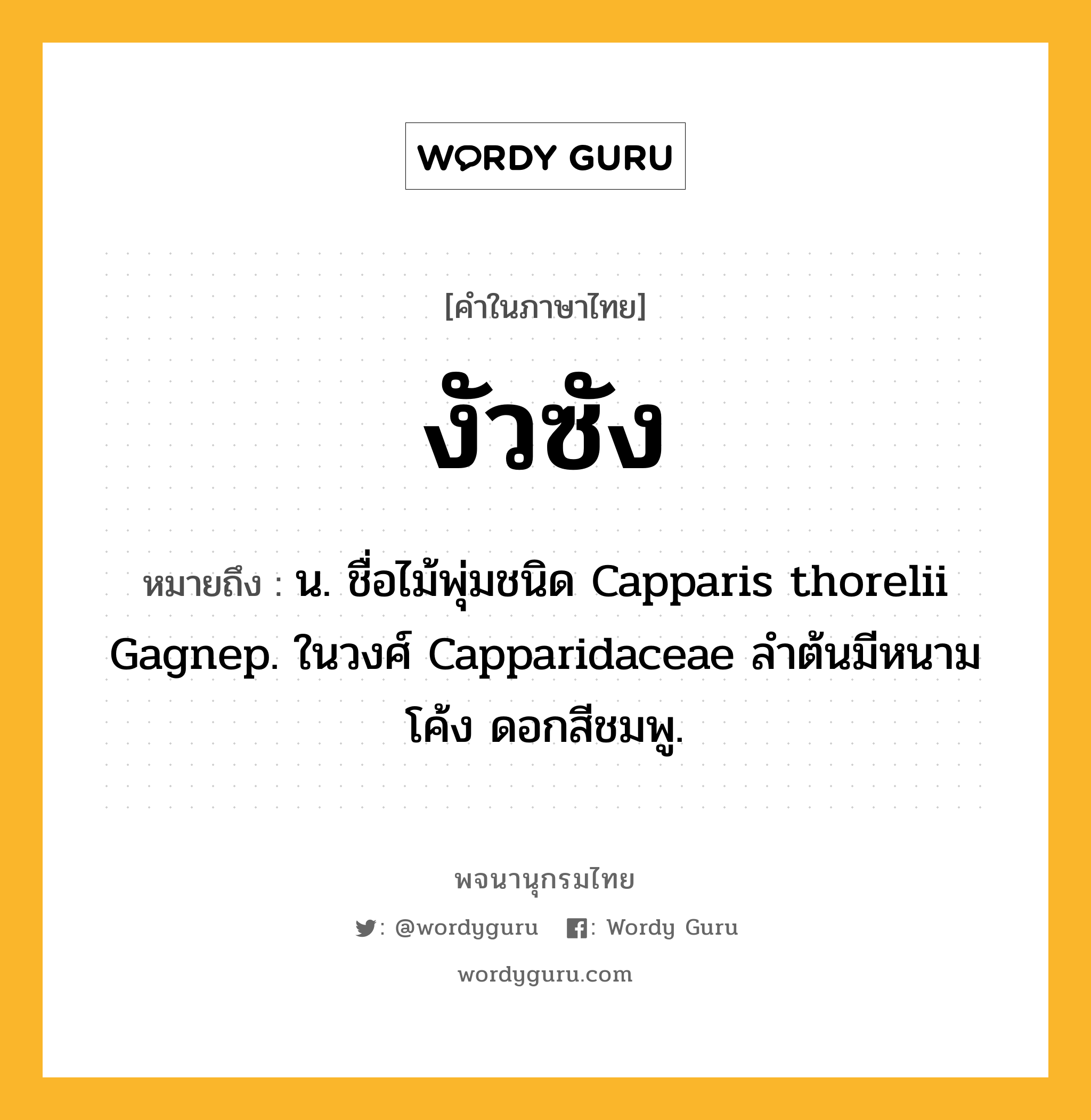 งัวซัง ความหมาย หมายถึงอะไร?, คำในภาษาไทย งัวซัง หมายถึง น. ชื่อไม้พุ่มชนิด Capparis thorelii Gagnep. ในวงศ์ Capparidaceae ลําต้นมีหนามโค้ง ดอกสีชมพู.