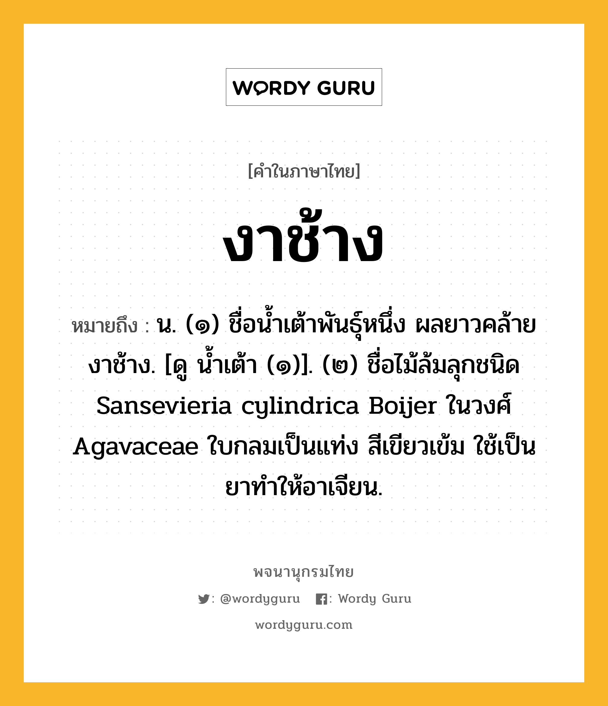 งาช้าง หมายถึงอะไร?, คำในภาษาไทย งาช้าง หมายถึง น. (๑) ชื่อนํ้าเต้าพันธุ์หนึ่ง ผลยาวคล้ายงาช้าง. [ดู นํ้าเต้า (๑)]. (๒) ชื่อไม้ล้มลุกชนิด Sansevieria cylindrica Boijer ในวงศ์ Agavaceae ใบกลมเป็นแท่ง สีเขียวเข้ม ใช้เป็นยาทําให้อาเจียน.