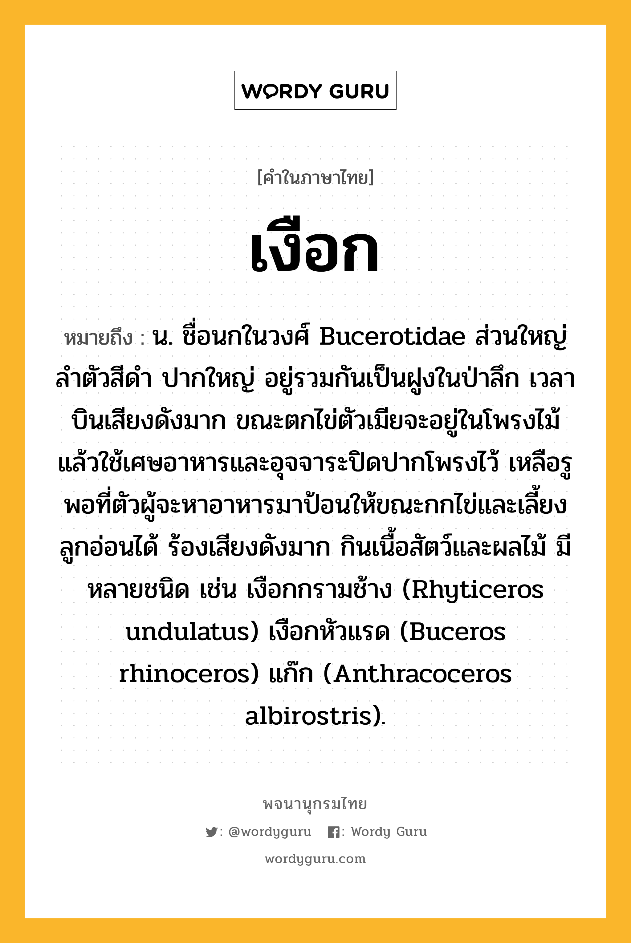 เงือก หมายถึงอะไร?, คำในภาษาไทย เงือก หมายถึง น. ชื่อนกในวงศ์ Bucerotidae ส่วนใหญ่ลําตัวสีดํา ปากใหญ่ อยู่รวมกันเป็นฝูงในป่าลึก เวลาบินเสียงดังมาก ขณะตกไข่ตัวเมียจะอยู่ในโพรงไม้ แล้วใช้เศษอาหารและอุจจาระปิดปากโพรงไว้ เหลือรูพอที่ตัวผู้จะหาอาหารมาป้อนให้ขณะกกไข่และเลี้ยงลูกอ่อนได้ ร้องเสียงดังมาก กินเนื้อสัตว์และผลไม้ มีหลายชนิด เช่น เงือกกรามช้าง (Rhyticeros undulatus) เงือกหัวแรด (Buceros rhinoceros) แก๊ก (Anthracoceros albirostris).