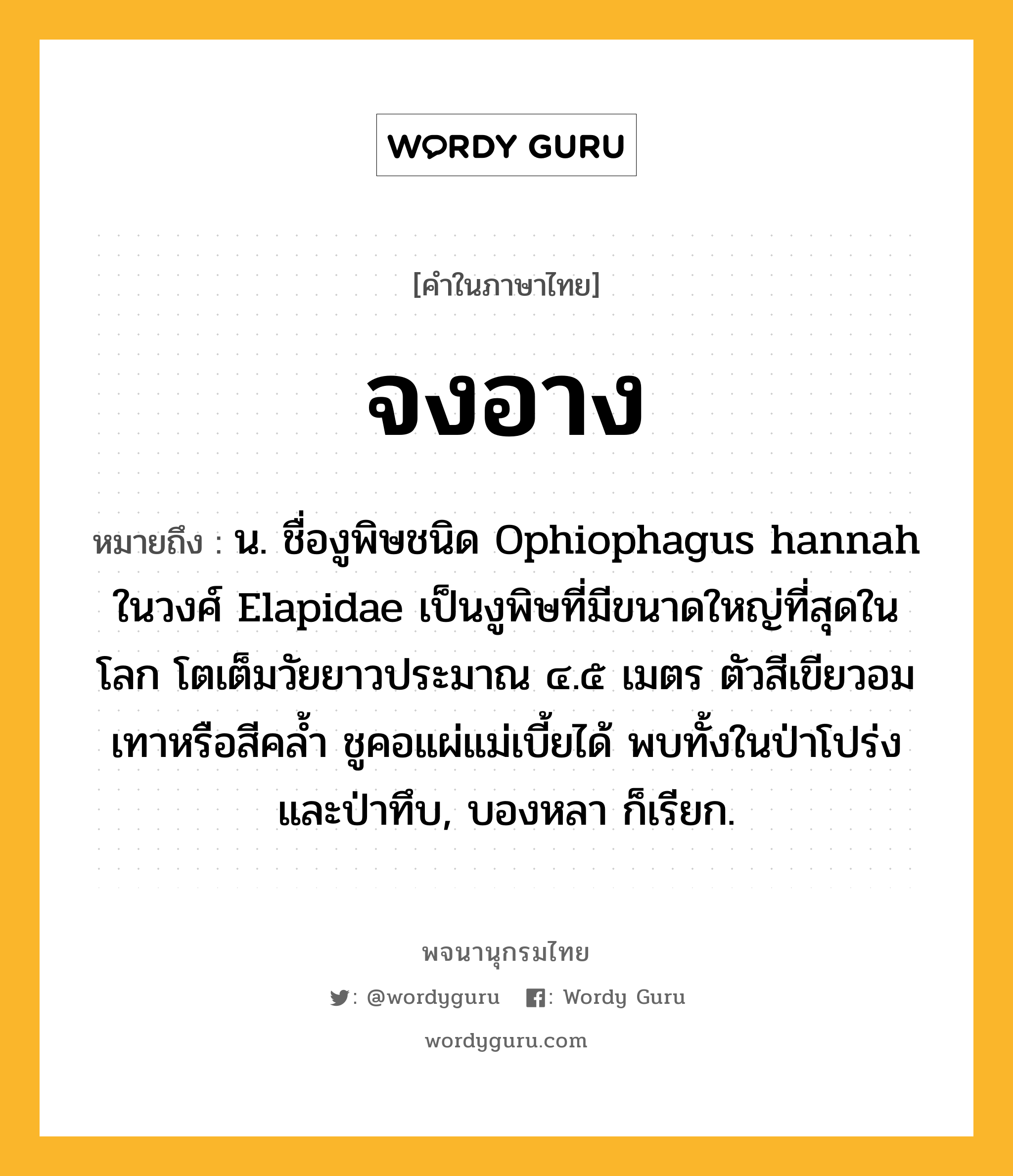 จงอาง หมายถึงอะไร?, คำในภาษาไทย จงอาง หมายถึง น. ชื่องูพิษชนิด Ophiophagus hannah ในวงศ์ Elapidae เป็นงูพิษที่มีขนาดใหญ่ที่สุดในโลก โตเต็มวัยยาวประมาณ ๔.๕ เมตร ตัวสีเขียวอมเทาหรือสีคลํ้า ชูคอแผ่แม่เบี้ยได้ พบทั้งในป่าโปร่งและป่าทึบ, บองหลา ก็เรียก.