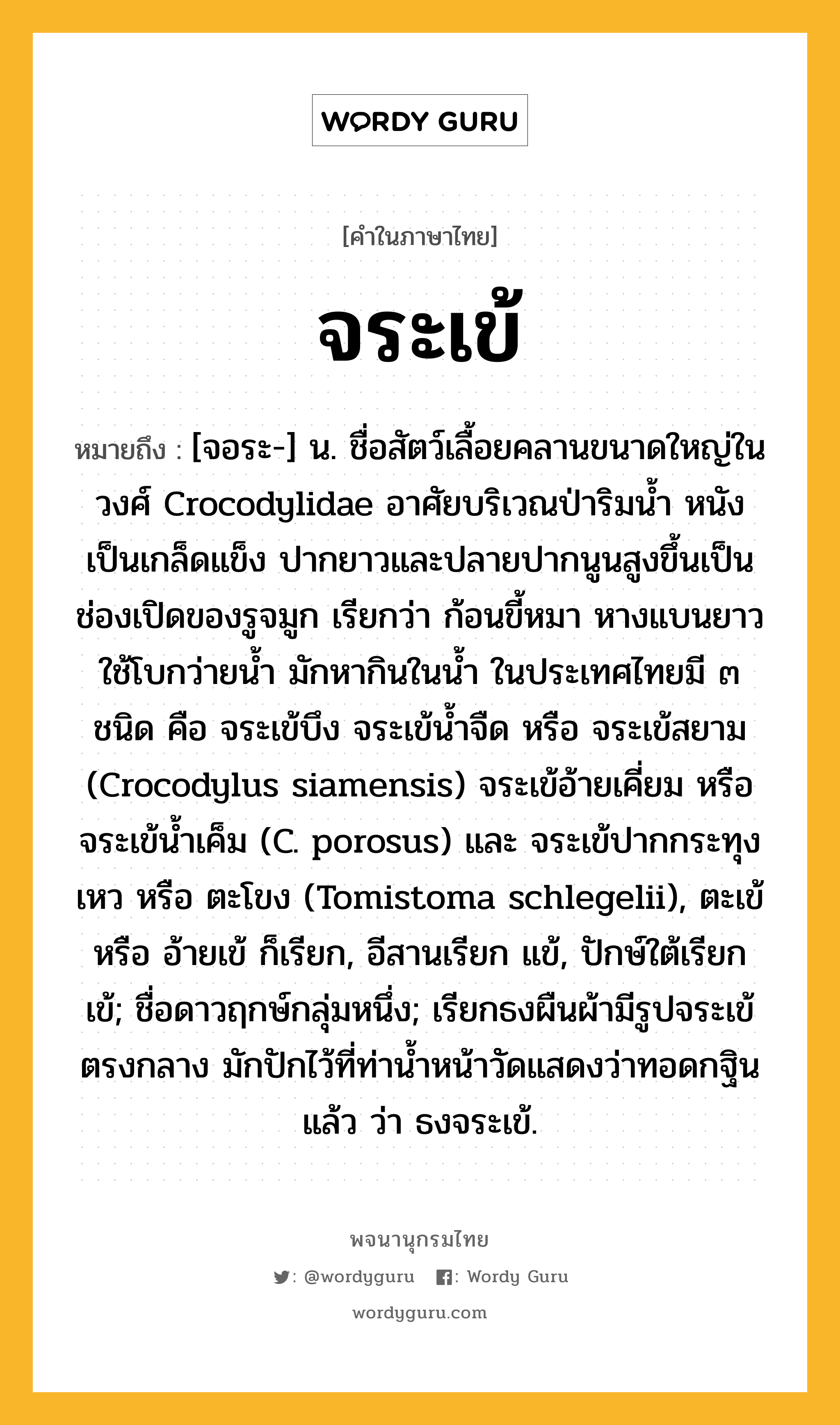 จระเข้ หมายถึงอะไร?, คำในภาษาไทย จระเข้ หมายถึง [จอระ-] น. ชื่อสัตว์เลื้อยคลานขนาดใหญ่ในวงศ์ Crocodylidae อาศัยบริเวณป่าริมนํ้า หนังเป็นเกล็ดแข็ง ปากยาวและปลายปากนูนสูงขึ้นเป็นช่องเปิดของรูจมูก เรียกว่า ก้อนขี้หมา หางแบนยาวใช้โบกว่ายนํ้า มักหากินในนํ้า ในประเทศไทยมี ๓ ชนิด คือ จระเข้บึง จระเข้นํ้าจืด หรือ จระเข้สยาม (Crocodylus siamensis) จระเข้อ้ายเคี่ยม หรือ จระเข้นํ้าเค็ม (C. porosus) และ จระเข้ปากกระทุงเหว หรือ ตะโขง (Tomistoma schlegelii), ตะเข้ หรือ อ้ายเข้ ก็เรียก, อีสานเรียก แข้, ปักษ์ใต้เรียก เข้; ชื่อดาวฤกษ์กลุ่มหนึ่ง; เรียกธงผืนผ้ามีรูปจระเข้ตรงกลาง มักปักไว้ที่ท่านํ้าหน้าวัดแสดงว่าทอดกฐินแล้ว ว่า ธงจระเข้.