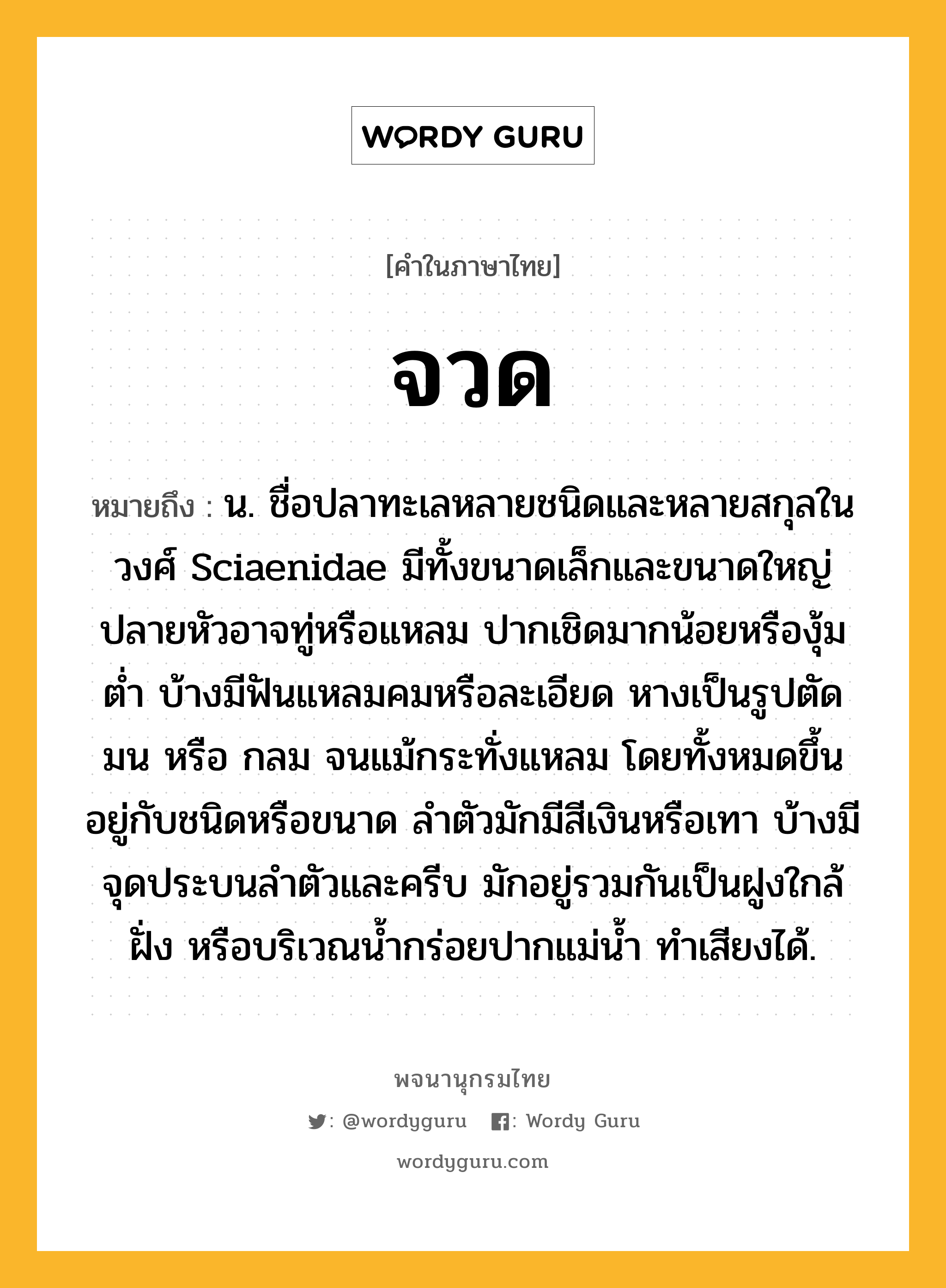 จวด หมายถึงอะไร?, คำในภาษาไทย จวด หมายถึง น. ชื่อปลาทะเลหลายชนิดและหลายสกุลในวงศ์ Sciaenidae มีทั้งขนาดเล็กและขนาดใหญ่ ปลายหัวอาจทู่หรือแหลม ปากเชิดมากน้อยหรืองุ้มตํ่า บ้างมีฟันแหลมคมหรือละเอียด หางเป็นรูปตัด มน หรือ กลม จนแม้กระทั่งแหลม โดยทั้งหมดขึ้นอยู่กับชนิดหรือขนาด ลําตัวมักมีสีเงินหรือเทา บ้างมีจุดประบนลําตัวและครีบ มักอยู่รวมกันเป็นฝูงใกล้ฝั่ง หรือบริเวณนํ้ากร่อยปากแม่นํ้า ทําเสียงได้.