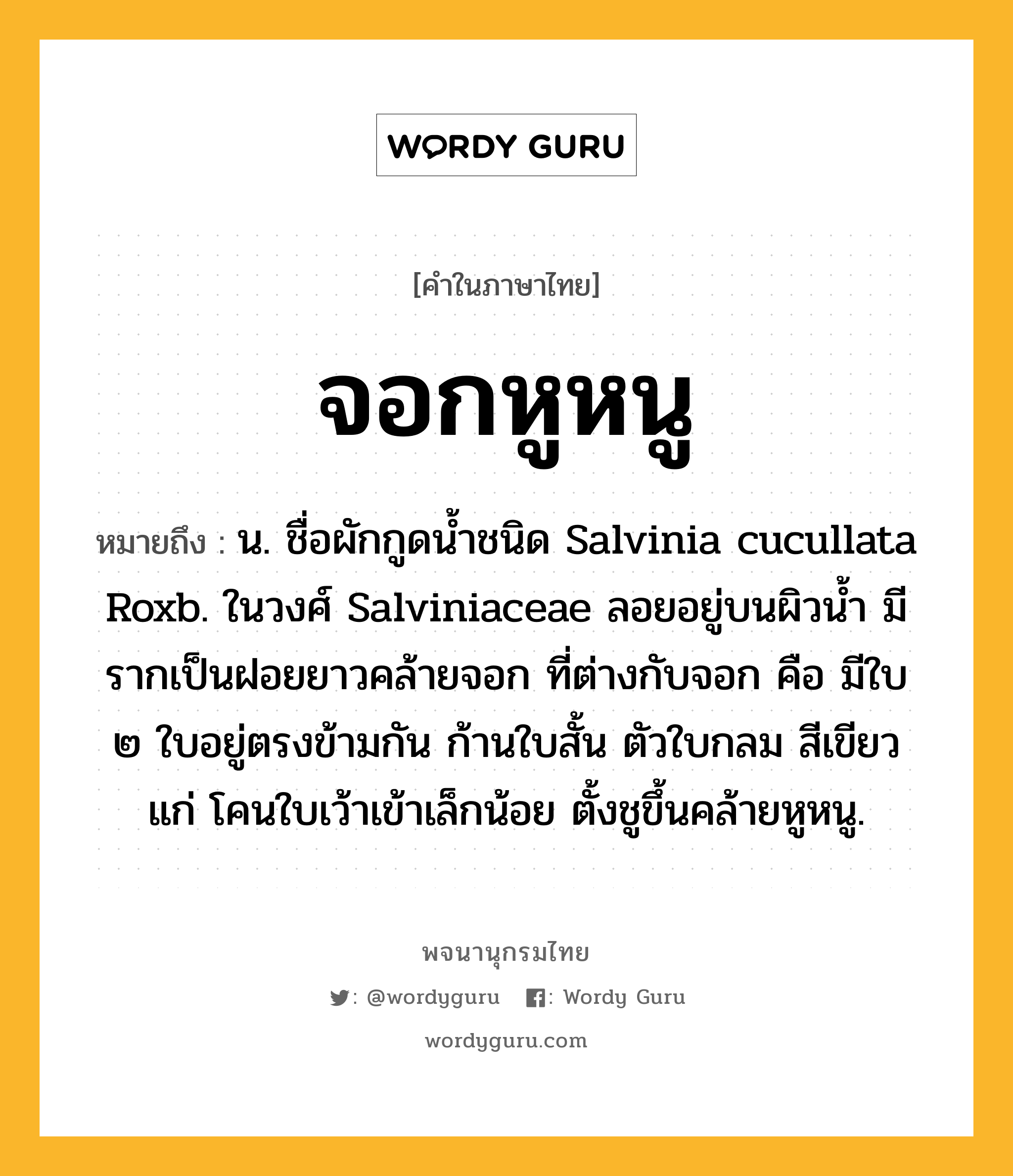 จอกหูหนู ความหมาย หมายถึงอะไร?, คำในภาษาไทย จอกหูหนู หมายถึง น. ชื่อผักกูดนํ้าชนิด Salvinia cucullata Roxb. ในวงศ์ Salviniaceae ลอยอยู่บนผิวนํ้า มีรากเป็นฝอยยาวคล้ายจอก ที่ต่างกับจอก คือ มีใบ ๒ ใบอยู่ตรงข้ามกัน ก้านใบสั้น ตัวใบกลม สีเขียวแก่ โคนใบเว้าเข้าเล็กน้อย ตั้งชูขึ้นคล้ายหูหนู.