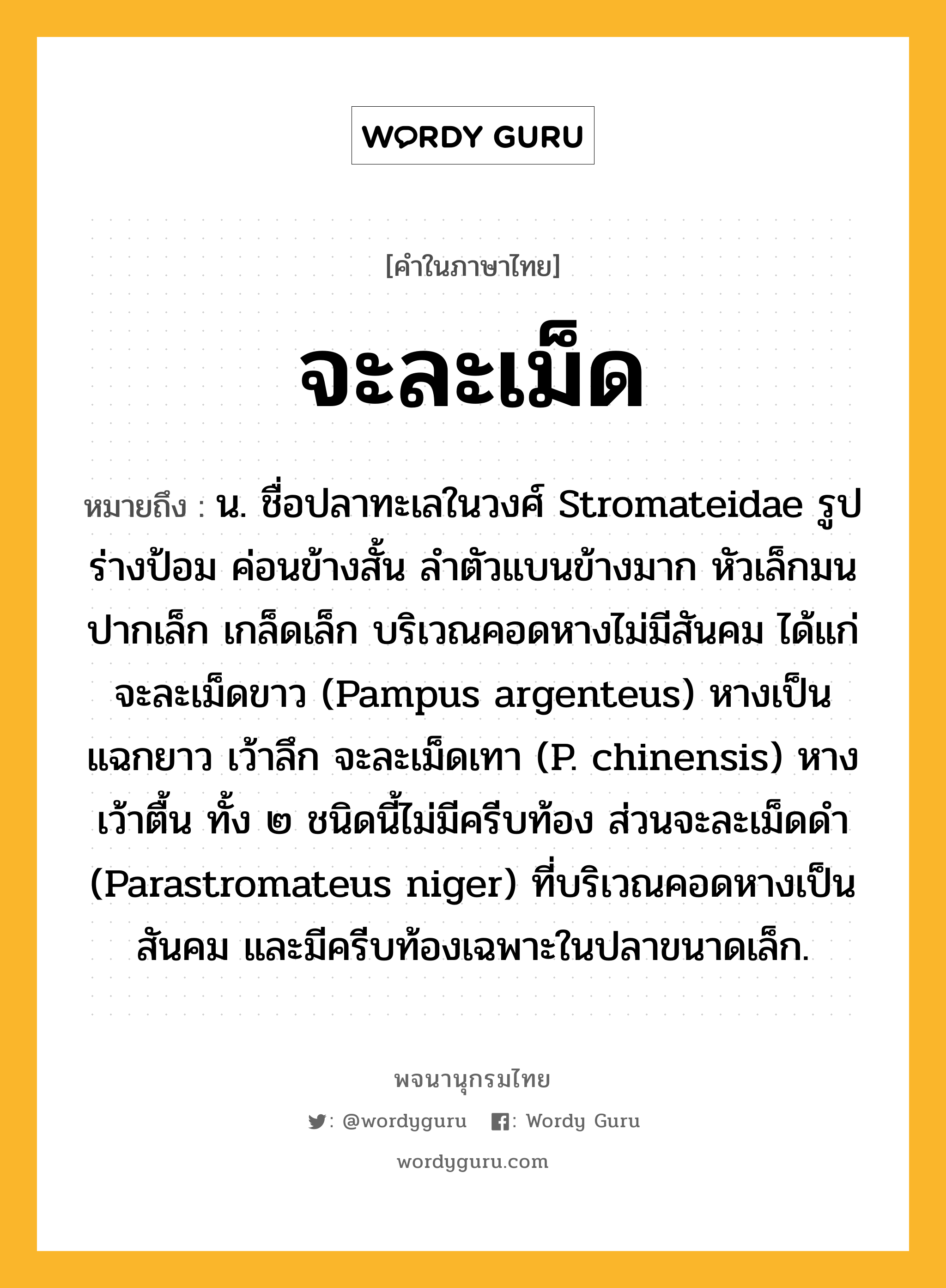 จะละเม็ด หมายถึงอะไร?, คำในภาษาไทย จะละเม็ด หมายถึง น. ชื่อปลาทะเลในวงศ์ Stromateidae รูปร่างป้อม ค่อนข้างสั้น ลําตัวแบนข้างมาก หัวเล็กมน ปากเล็ก เกล็ดเล็ก บริเวณคอดหางไม่มีสันคม ได้แก่ จะละเม็ดขาว (Pampus argenteus) หางเป็นแฉกยาว เว้าลึก จะละเม็ดเทา (P. chinensis) หางเว้าตื้น ทั้ง ๒ ชนิดนี้ไม่มีครีบท้อง ส่วนจะละเม็ดดํา (Parastromateus niger) ที่บริเวณคอดหางเป็นสันคม และมีครีบท้องเฉพาะในปลาขนาดเล็ก.