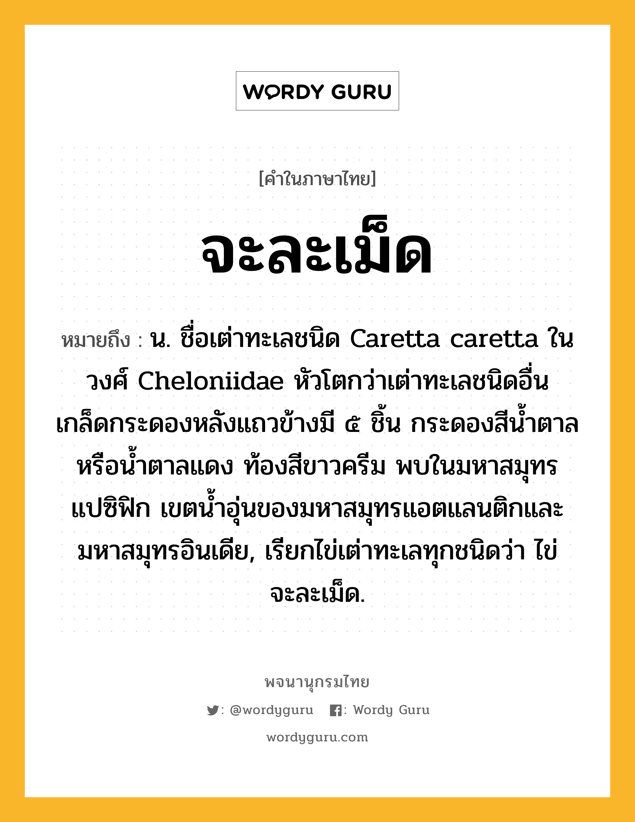 จะละเม็ด หมายถึงอะไร?, คำในภาษาไทย จะละเม็ด หมายถึง น. ชื่อเต่าทะเลชนิด Caretta caretta ในวงศ์ Cheloniidae หัวโตกว่าเต่าทะเลชนิดอื่น เกล็ดกระดองหลังแถวข้างมี ๕ ชิ้น กระดองสีนํ้าตาลหรือนํ้าตาลแดง ท้องสีขาวครีม พบในมหาสมุทรแปซิฟิก เขตนํ้าอุ่นของมหาสมุทรแอตแลนติกและมหาสมุทรอินเดีย, เรียกไข่เต่าทะเลทุกชนิดว่า ไข่จะละเม็ด.