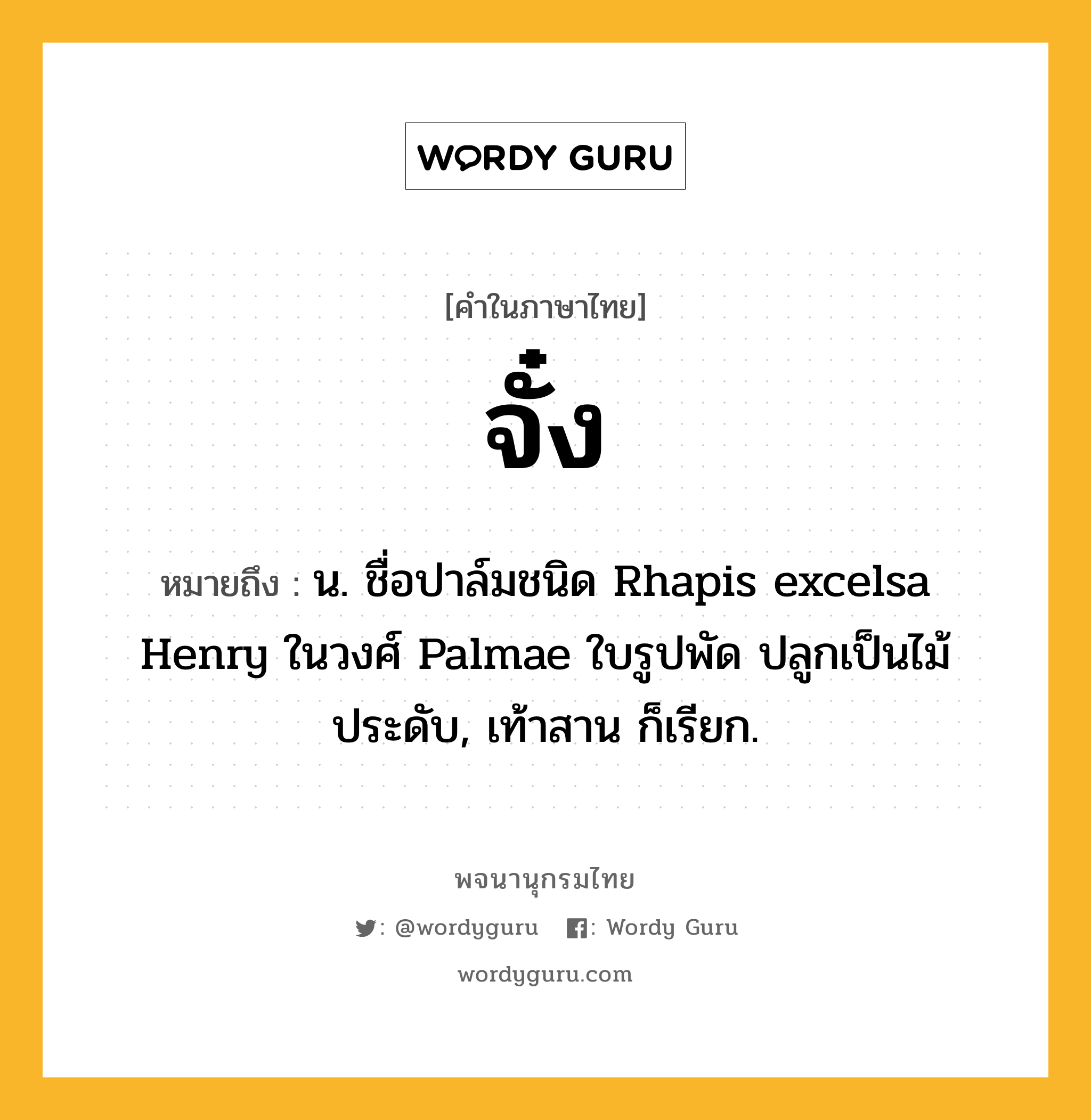 จั๋ง หมายถึงอะไร?, คำในภาษาไทย จั๋ง หมายถึง น. ชื่อปาล์มชนิด Rhapis excelsa Henry ในวงศ์ Palmae ใบรูปพัด ปลูกเป็นไม้ประดับ, เท้าสาน ก็เรียก.