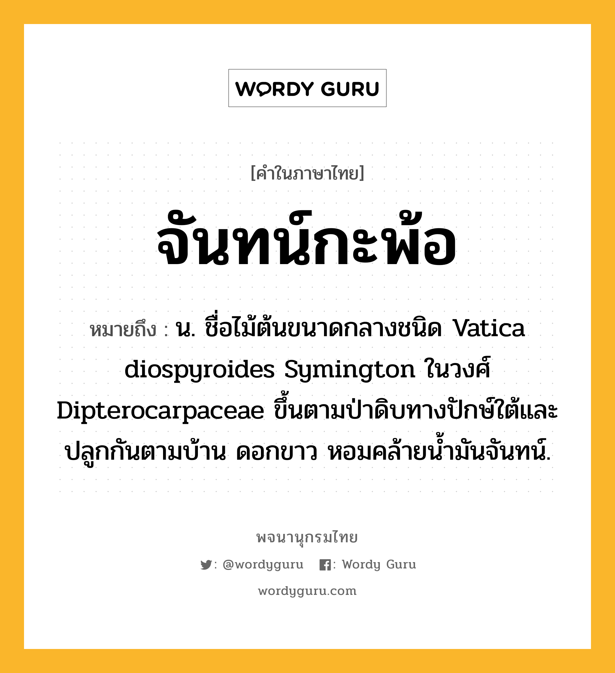 จันทน์กะพ้อ หมายถึงอะไร?, คำในภาษาไทย จันทน์กะพ้อ หมายถึง น. ชื่อไม้ต้นขนาดกลางชนิด Vatica diospyroides Symington ในวงศ์ Dipterocarpaceae ขึ้นตามป่าดิบทางปักษ์ใต้และปลูกกันตามบ้าน ดอกขาว หอมคล้ายนํ้ามันจันทน์.