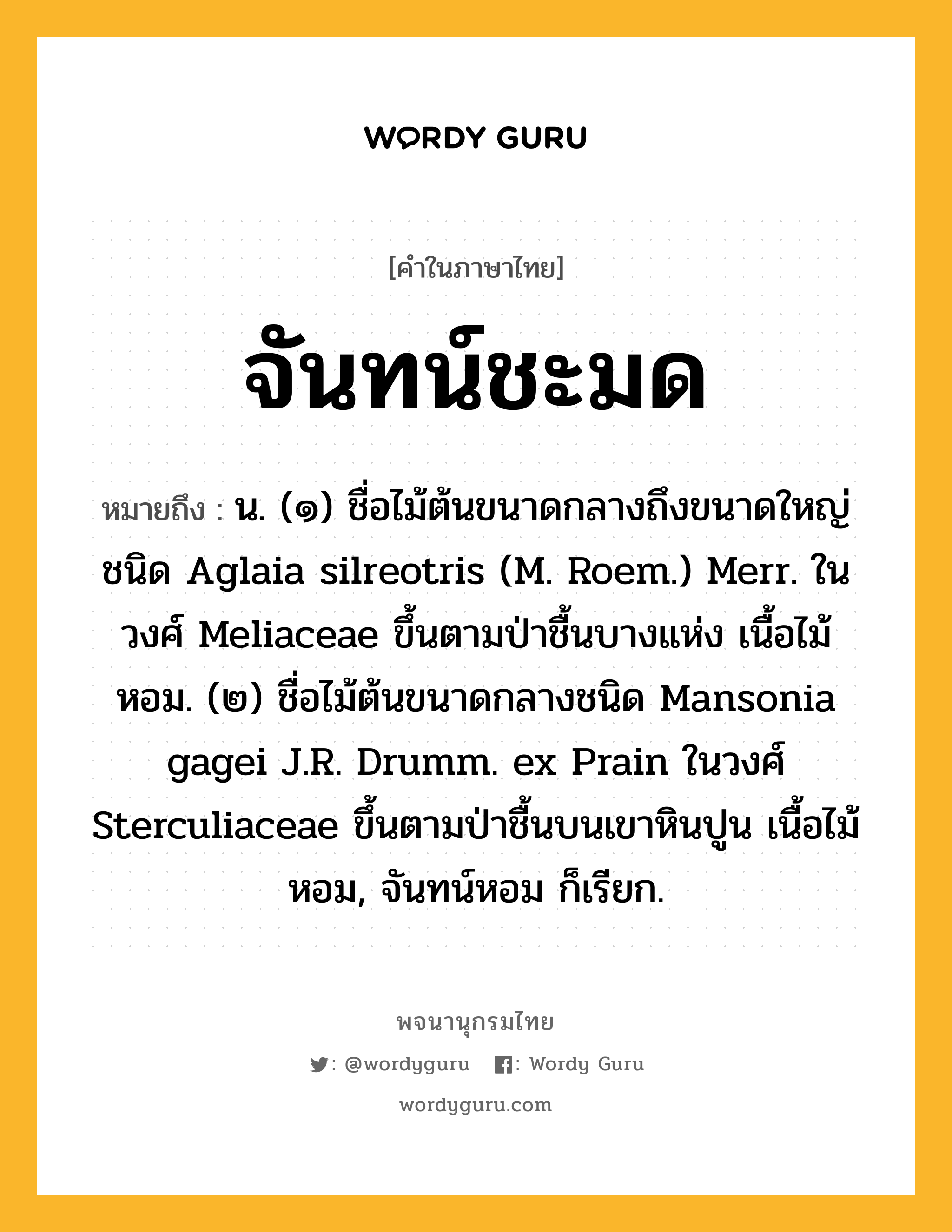 จันทน์ชะมด หมายถึงอะไร?, คำในภาษาไทย จันทน์ชะมด หมายถึง น. (๑) ชื่อไม้ต้นขนาดกลางถึงขนาดใหญ่ชนิด Aglaia silreotris (M. Roem.) Merr. ในวงศ์ Meliaceae ขึ้นตามป่าชื้นบางแห่ง เนื้อไม้หอม. (๒) ชื่อไม้ต้นขนาดกลางชนิด Mansonia gagei J.R. Drumm. ex Prain ในวงศ์ Sterculiaceae ขึ้นตามป่าชื้นบนเขาหินปูน เนื้อไม้หอม, จันทน์หอม ก็เรียก.