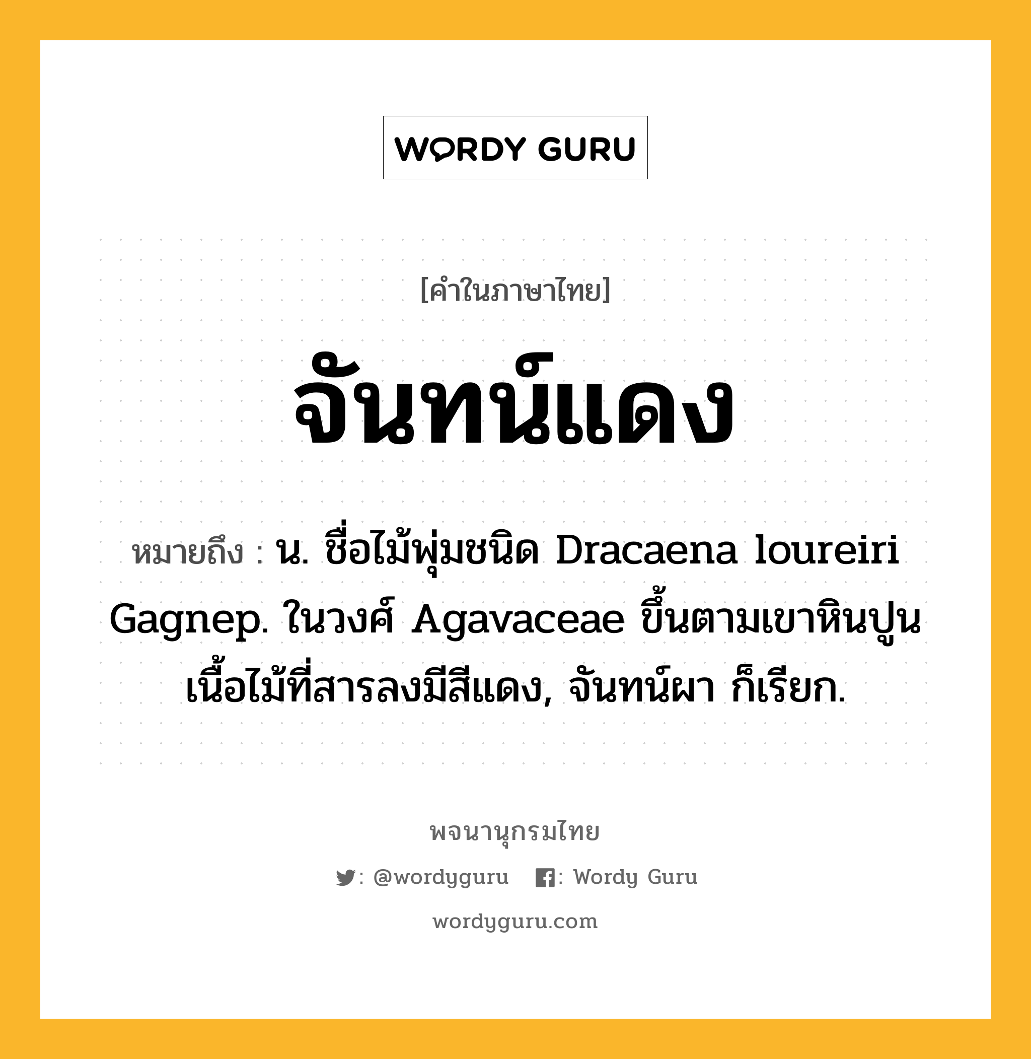 จันทน์แดง หมายถึงอะไร?, คำในภาษาไทย จันทน์แดง หมายถึง น. ชื่อไม้พุ่มชนิด Dracaena loureiri Gagnep. ในวงศ์ Agavaceae ขึ้นตามเขาหินปูน เนื้อไม้ที่สารลงมีสีแดง, จันทน์ผา ก็เรียก.