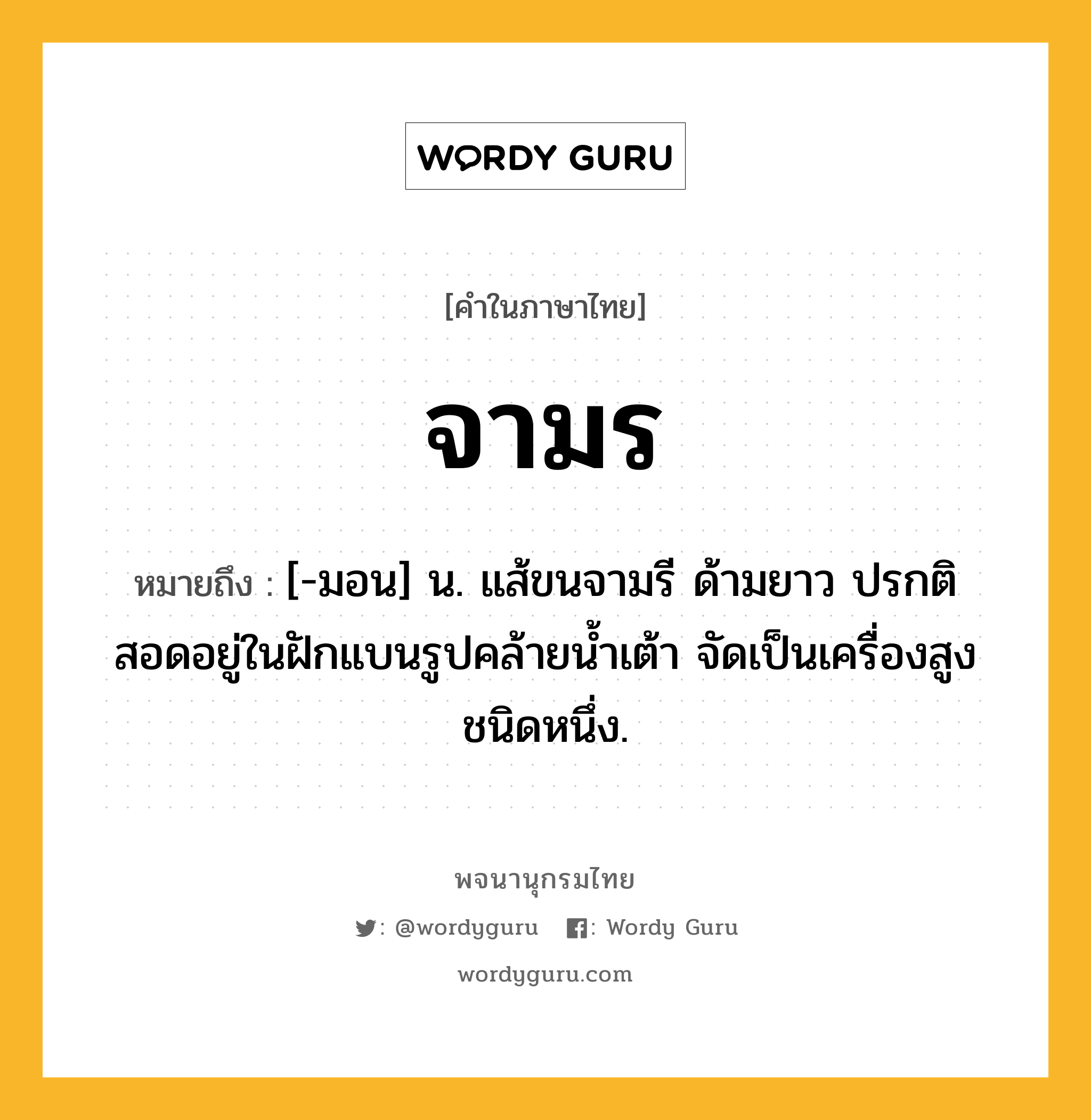 จามร หมายถึงอะไร?, คำในภาษาไทย จามร หมายถึง [-มอน] น. แส้ขนจามรี ด้ามยาว ปรกติสอดอยู่ในฝักแบนรูปคล้ายน้ำเต้า จัดเป็นเครื่องสูงชนิดหนึ่ง.