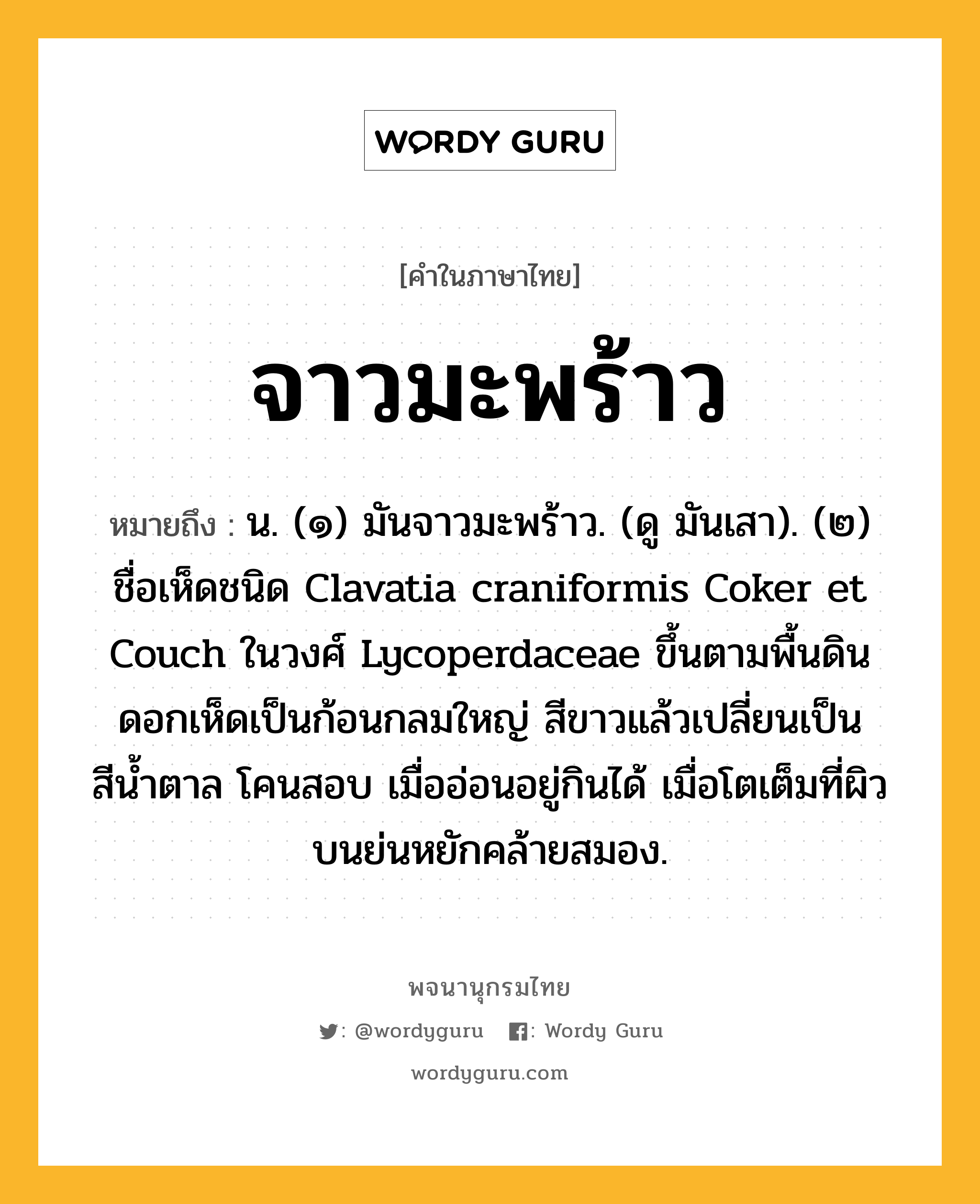 จาวมะพร้าว หมายถึงอะไร?, คำในภาษาไทย จาวมะพร้าว หมายถึง น. (๑) มันจาวมะพร้าว. (ดู มันเสา). (๒) ชื่อเห็ดชนิด Clavatia craniformis Coker et Couch ในวงศ์ Lycoperdaceae ขึ้นตามพื้นดิน ดอกเห็ดเป็นก้อนกลมใหญ่ สีขาวแล้วเปลี่ยนเป็นสีนํ้าตาล โคนสอบ เมื่ออ่อนอยู่กินได้ เมื่อโตเต็มที่ผิวบนย่นหยักคล้ายสมอง.