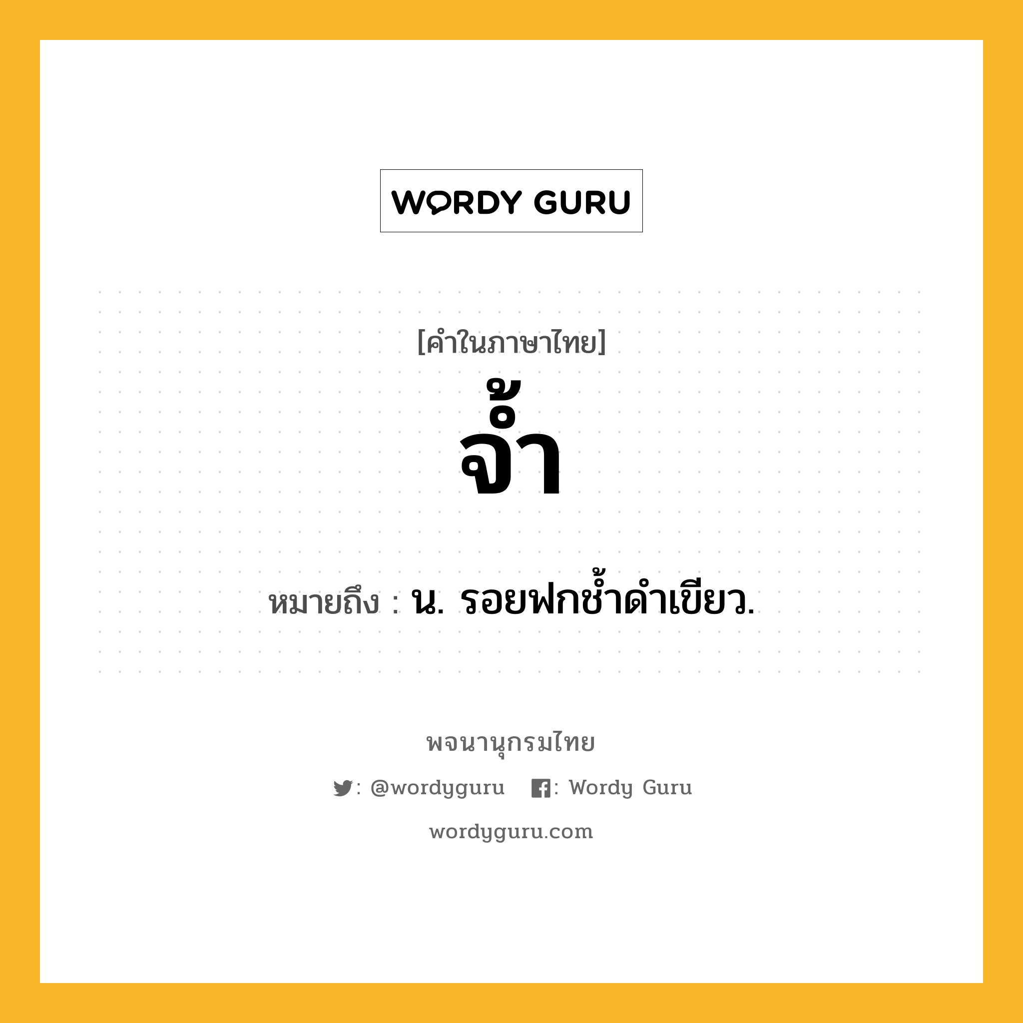 จ้ำ หมายถึงอะไร?, คำในภาษาไทย จ้ำ หมายถึง น. รอยฟกชํ้าดําเขียว.